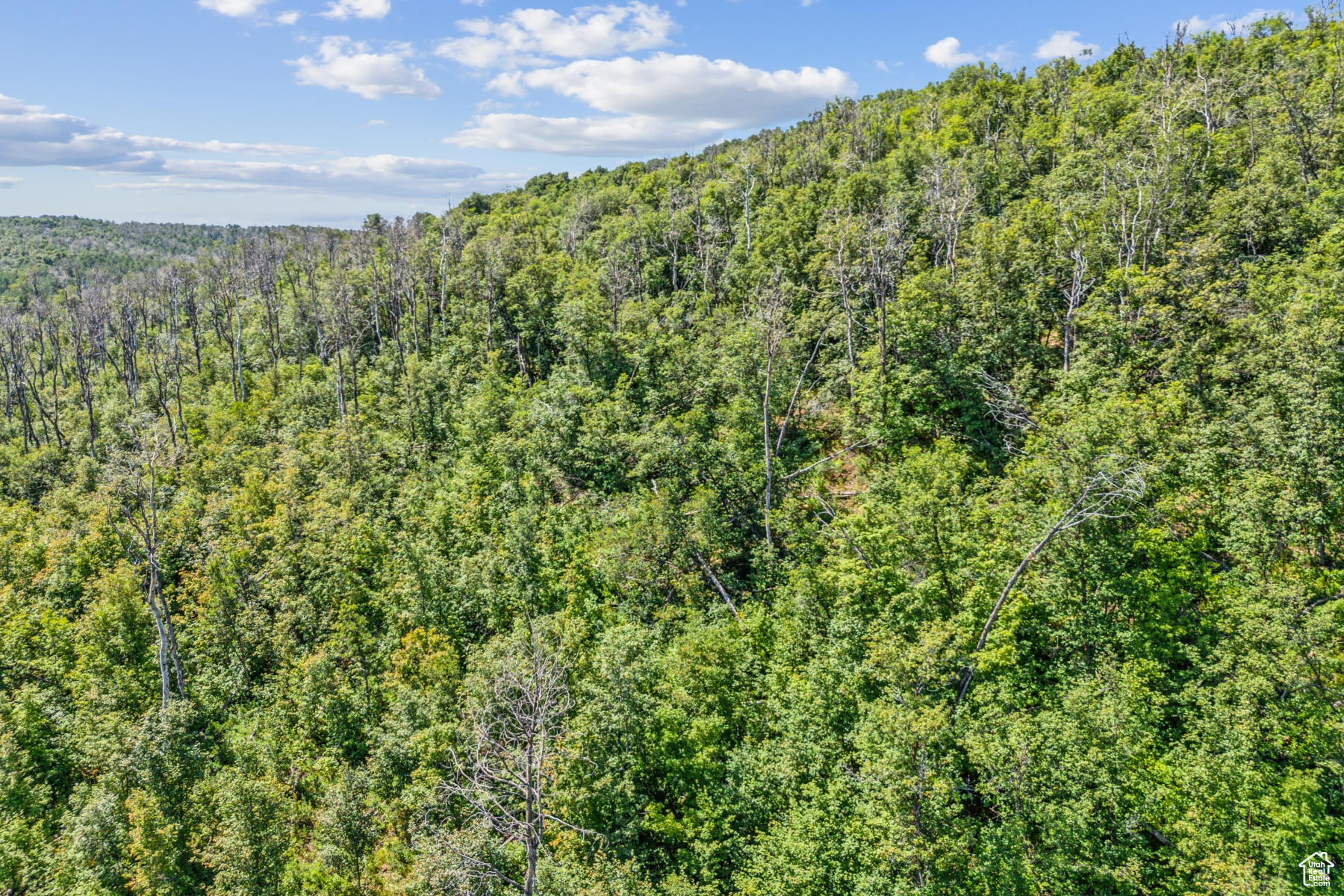 WOODLAND CREST - Residential