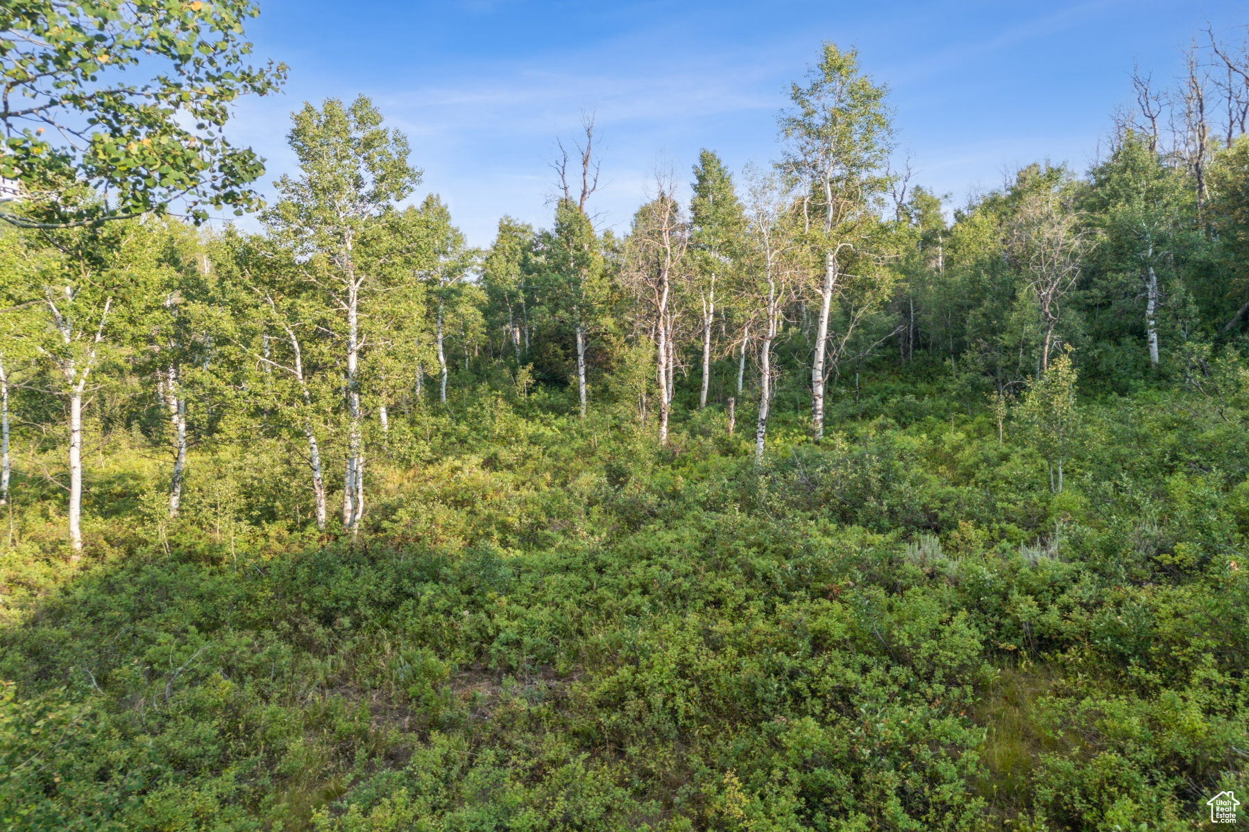 WOODLAND CREST - Residential