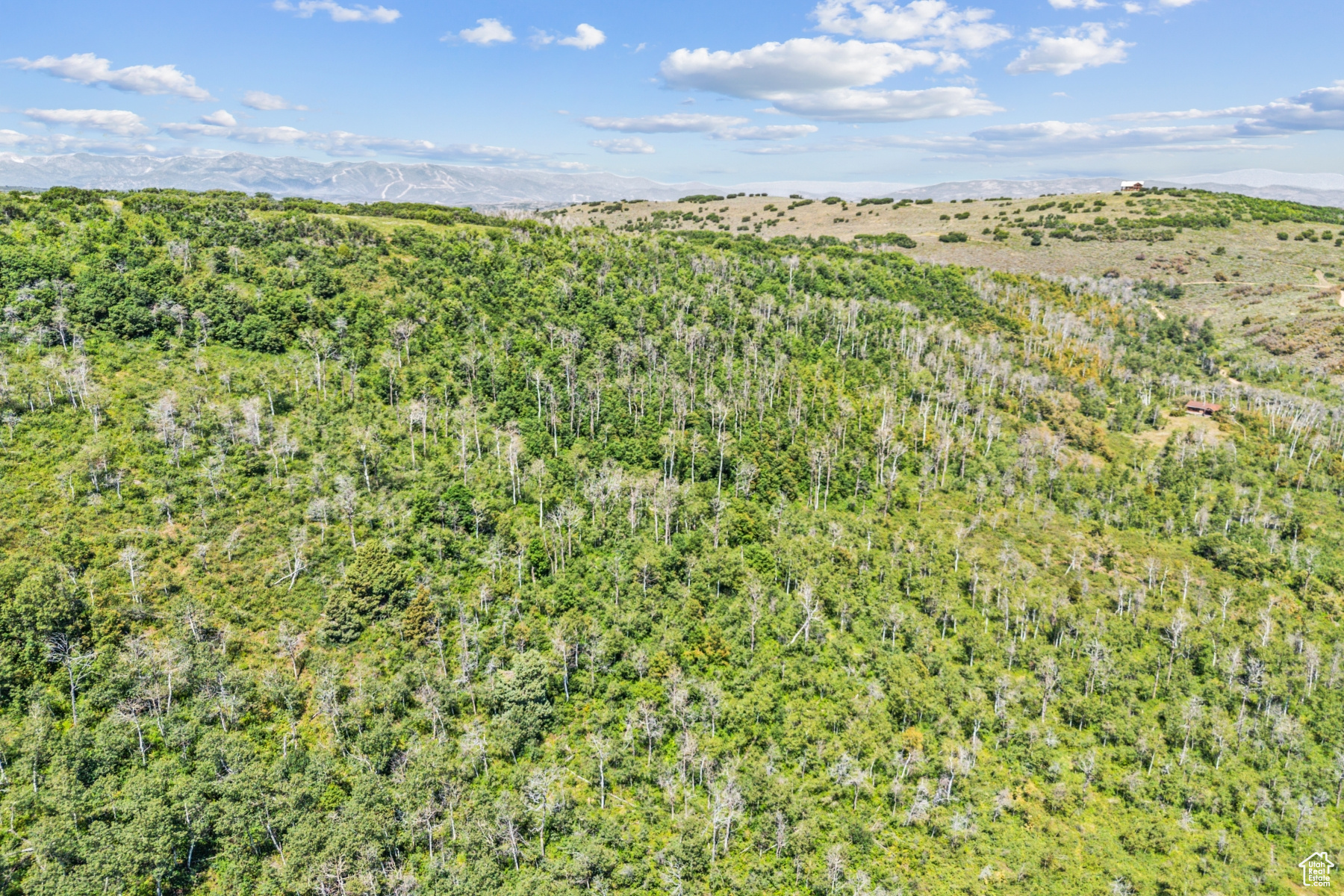 WOODLAND CREST - Residential