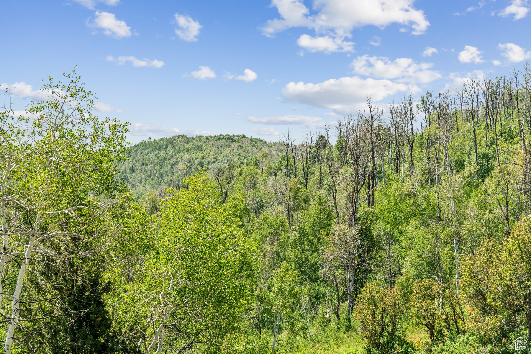 WOODLAND CREST - Residential