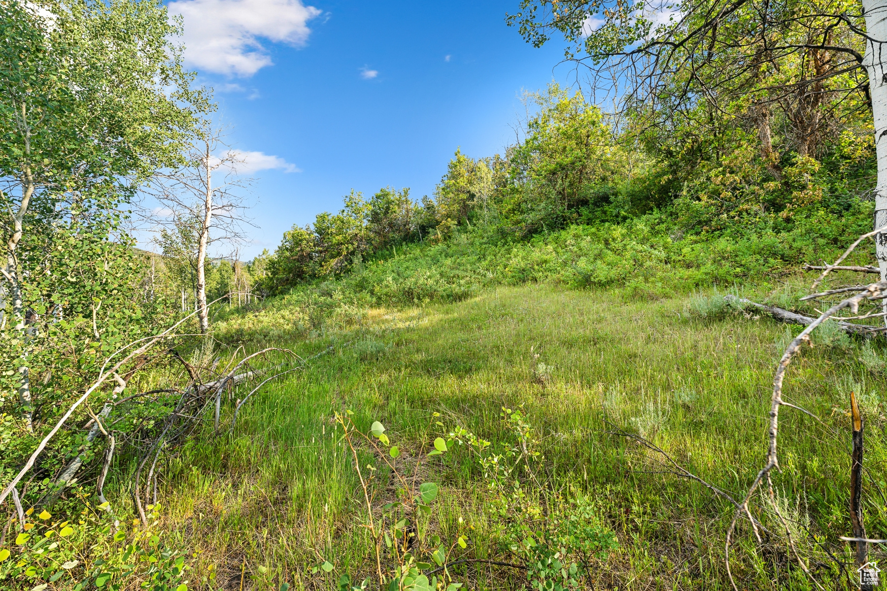 WOODLAND CREST - Residential