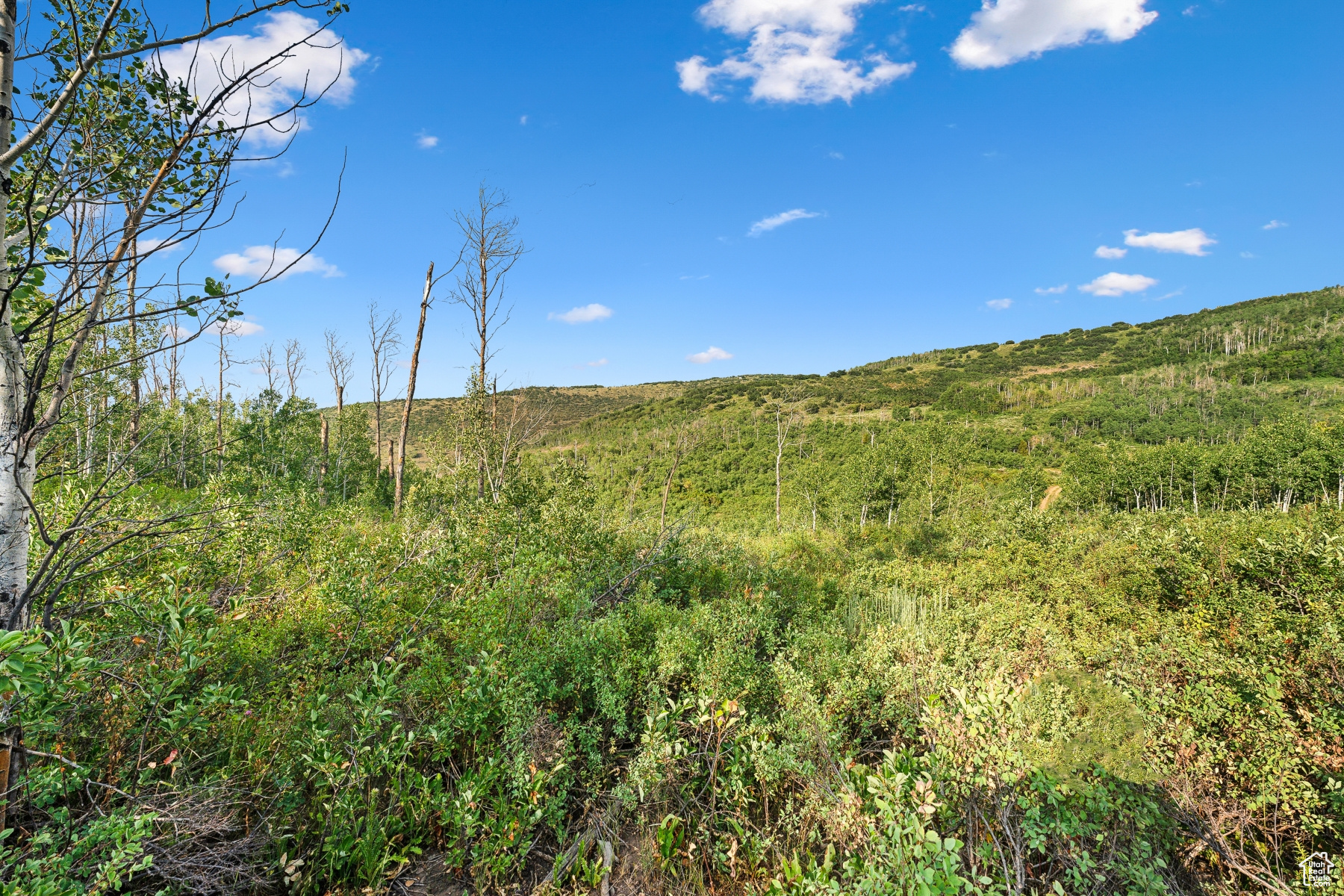 WOODLAND CREST - Residential