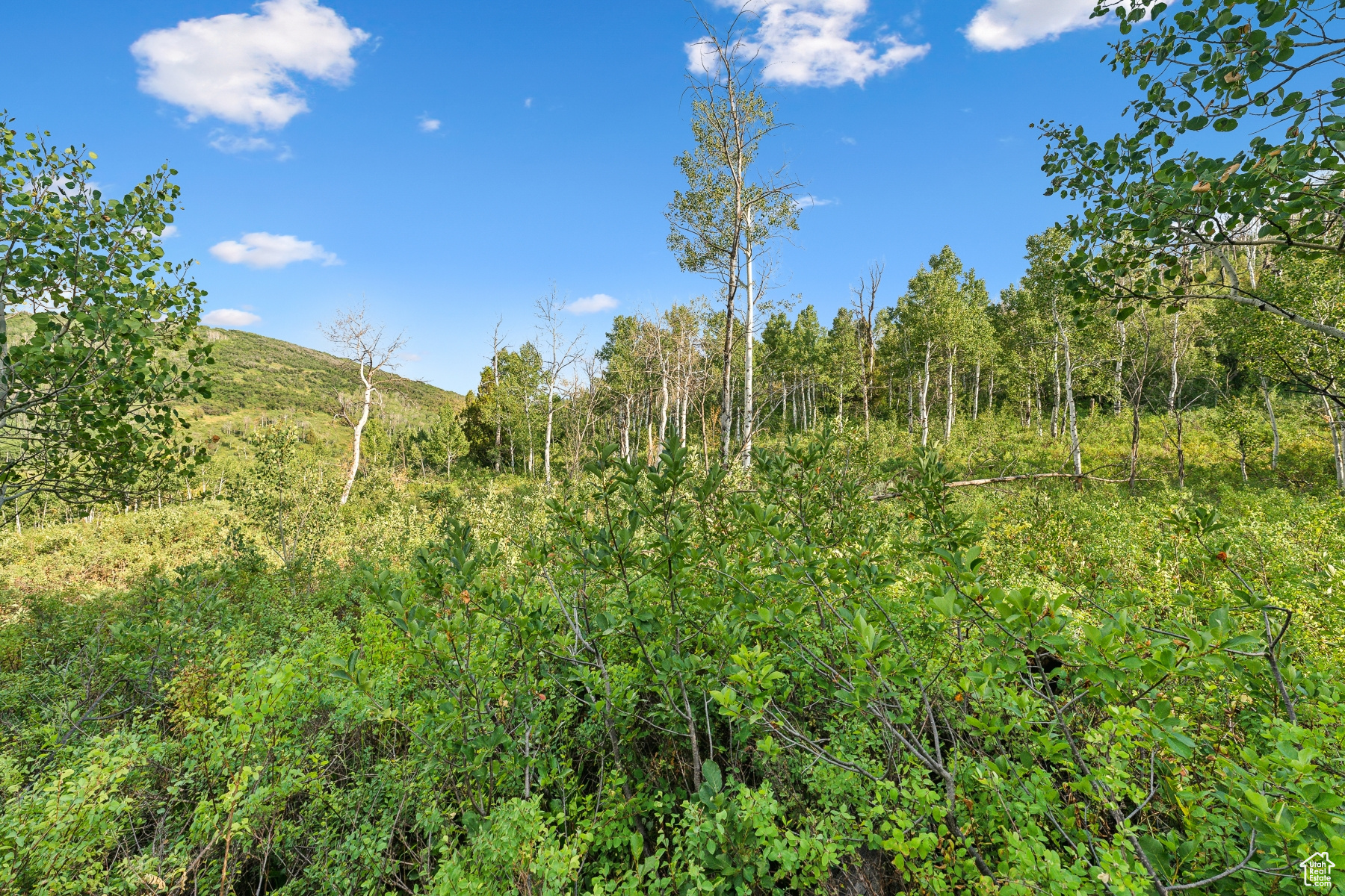 WOODLAND CREST - Residential