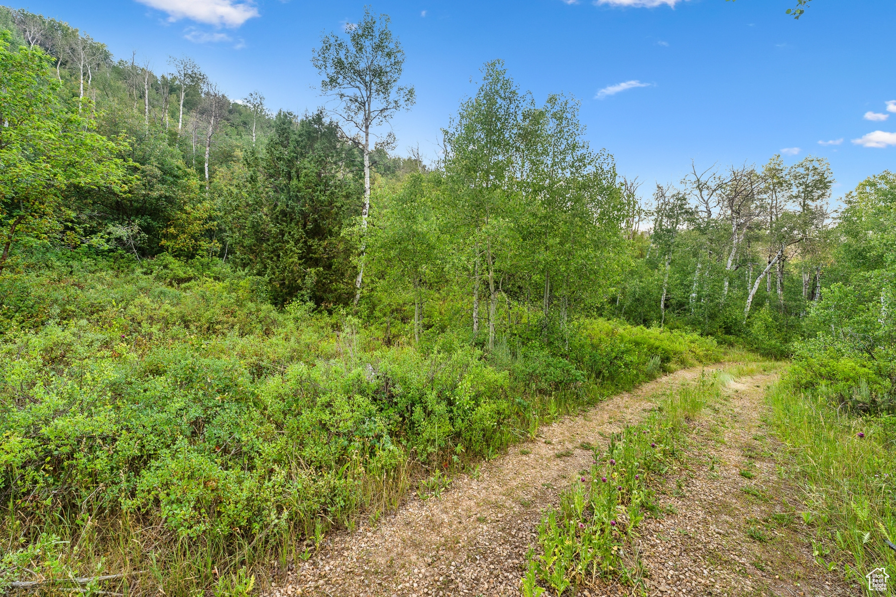WOODLAND CREST - Residential