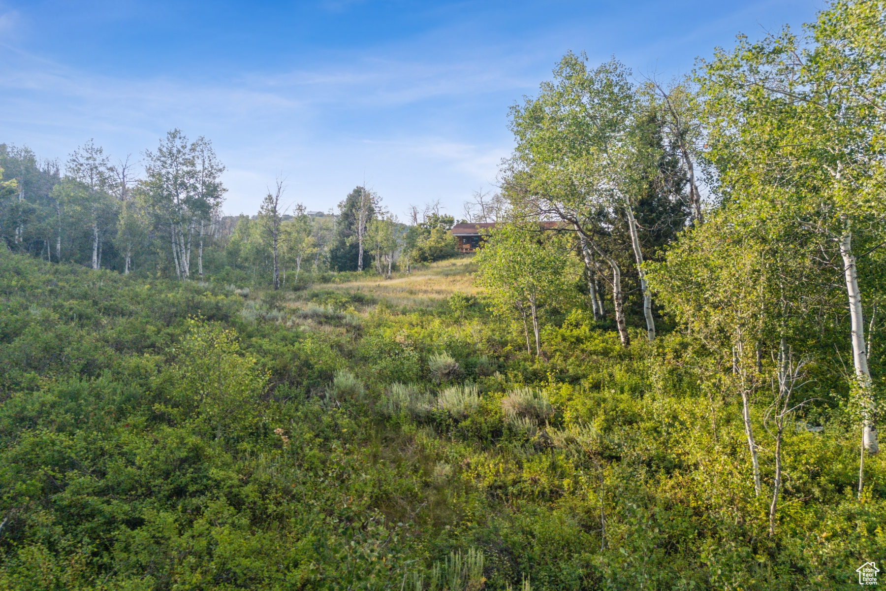 WOODLAND CREST - Residential