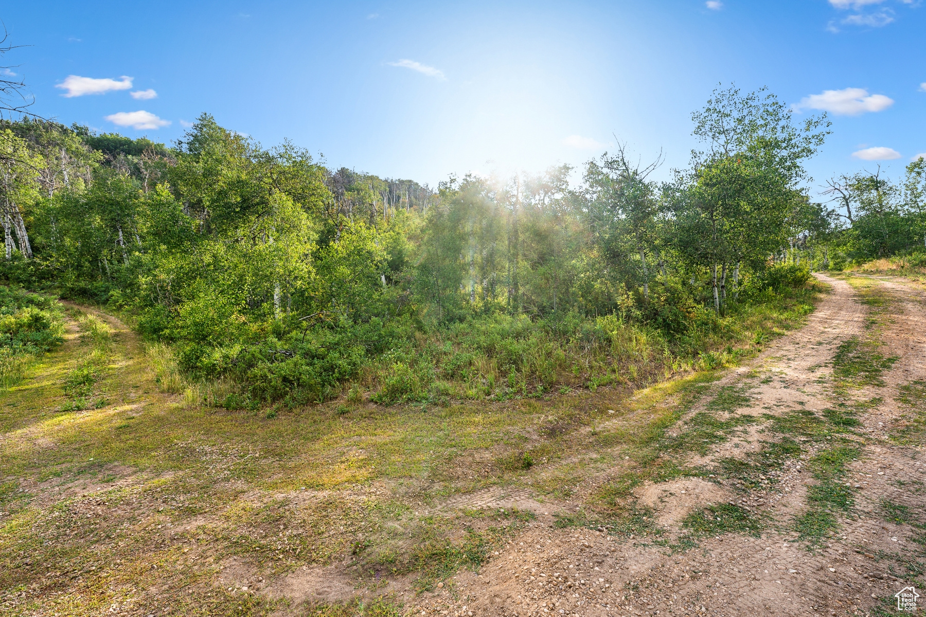 WOODLAND CREST - Residential