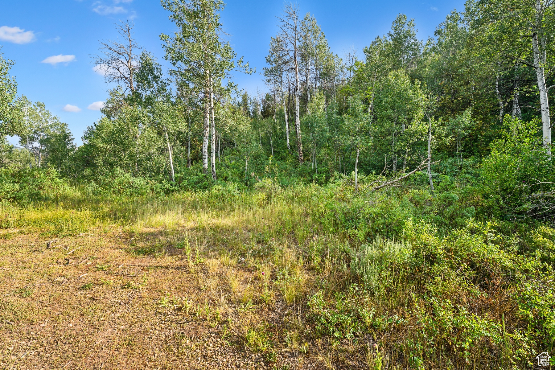 WOODLAND CREST - Residential