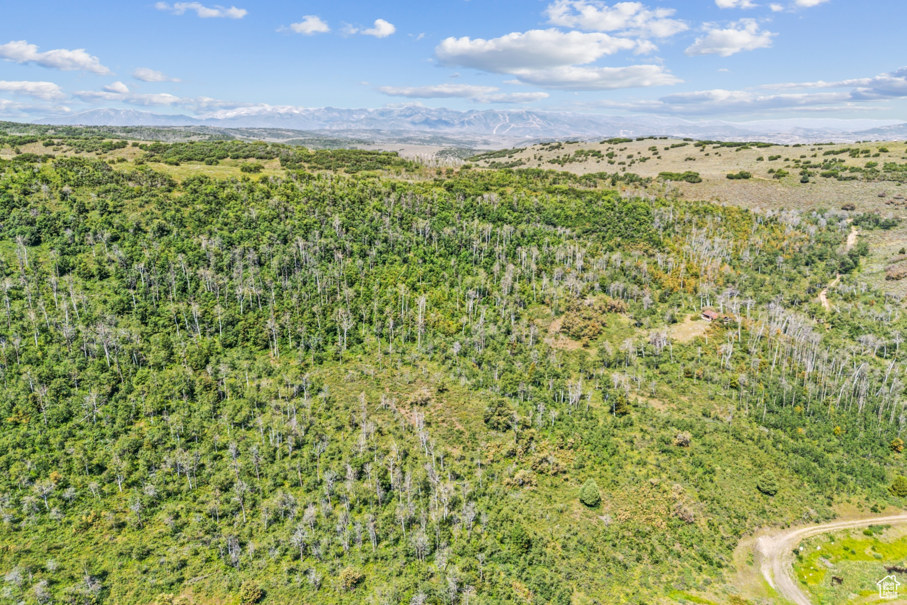 WOODLAND CREST - Residential