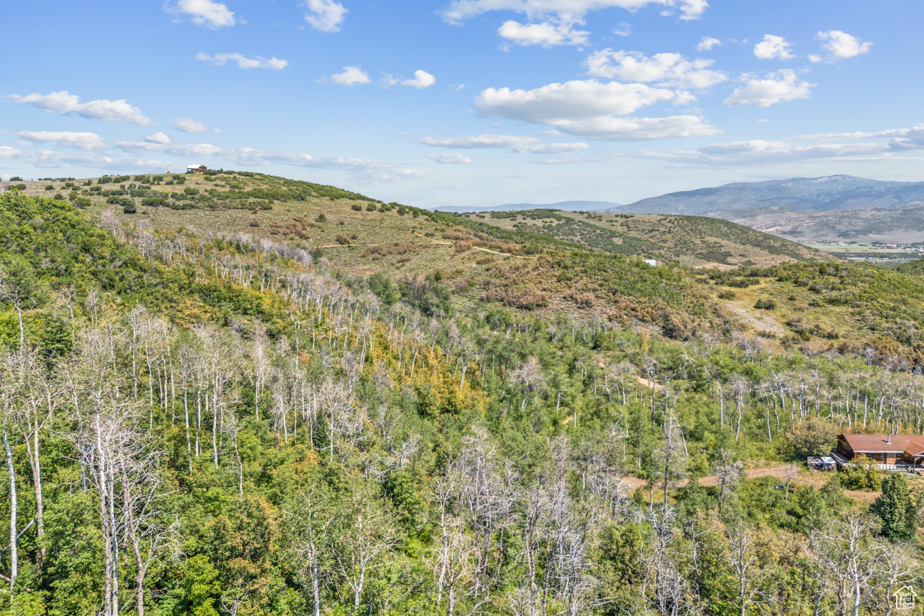 WOODLAND CREST - Residential