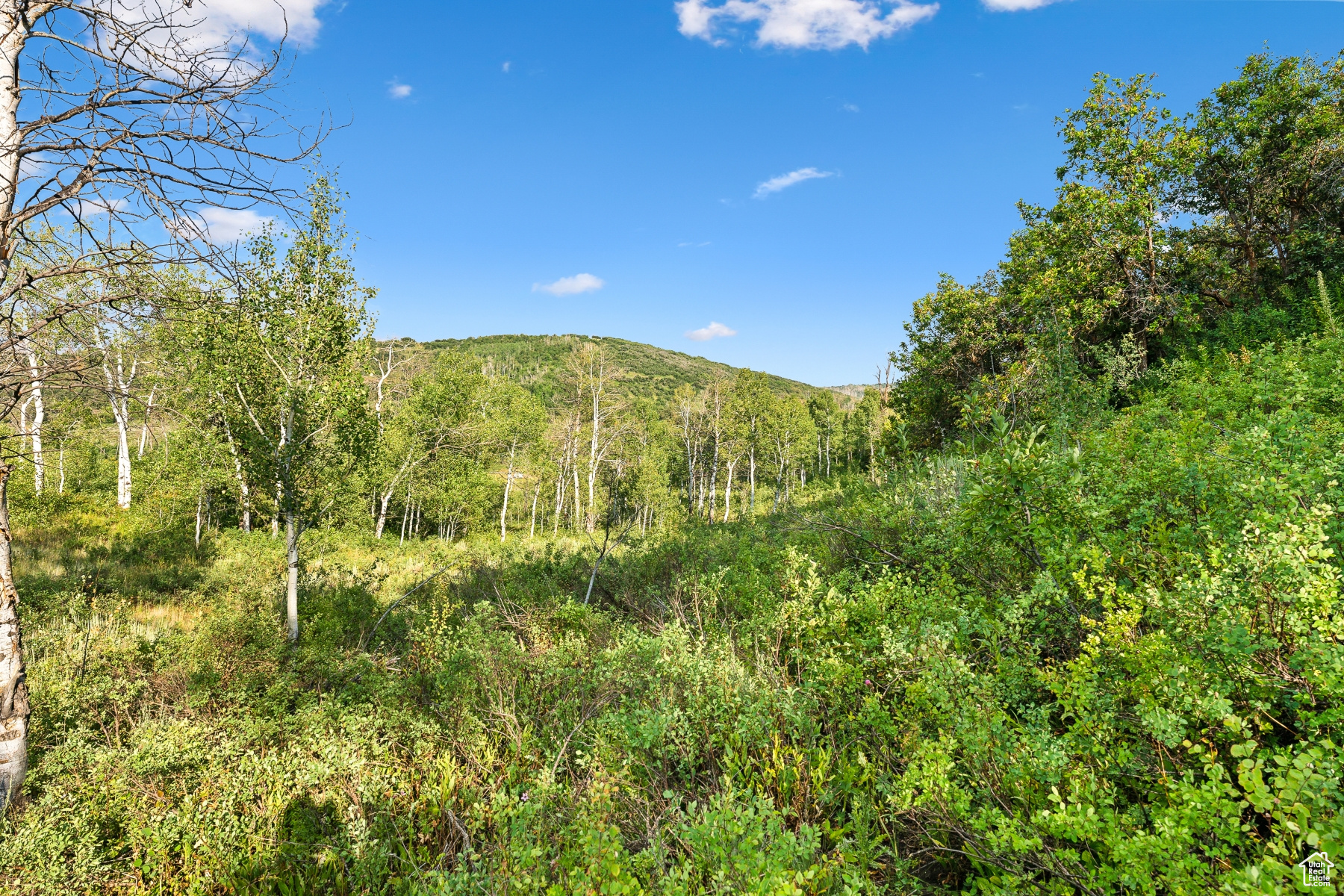 WOODLAND CREST - Residential