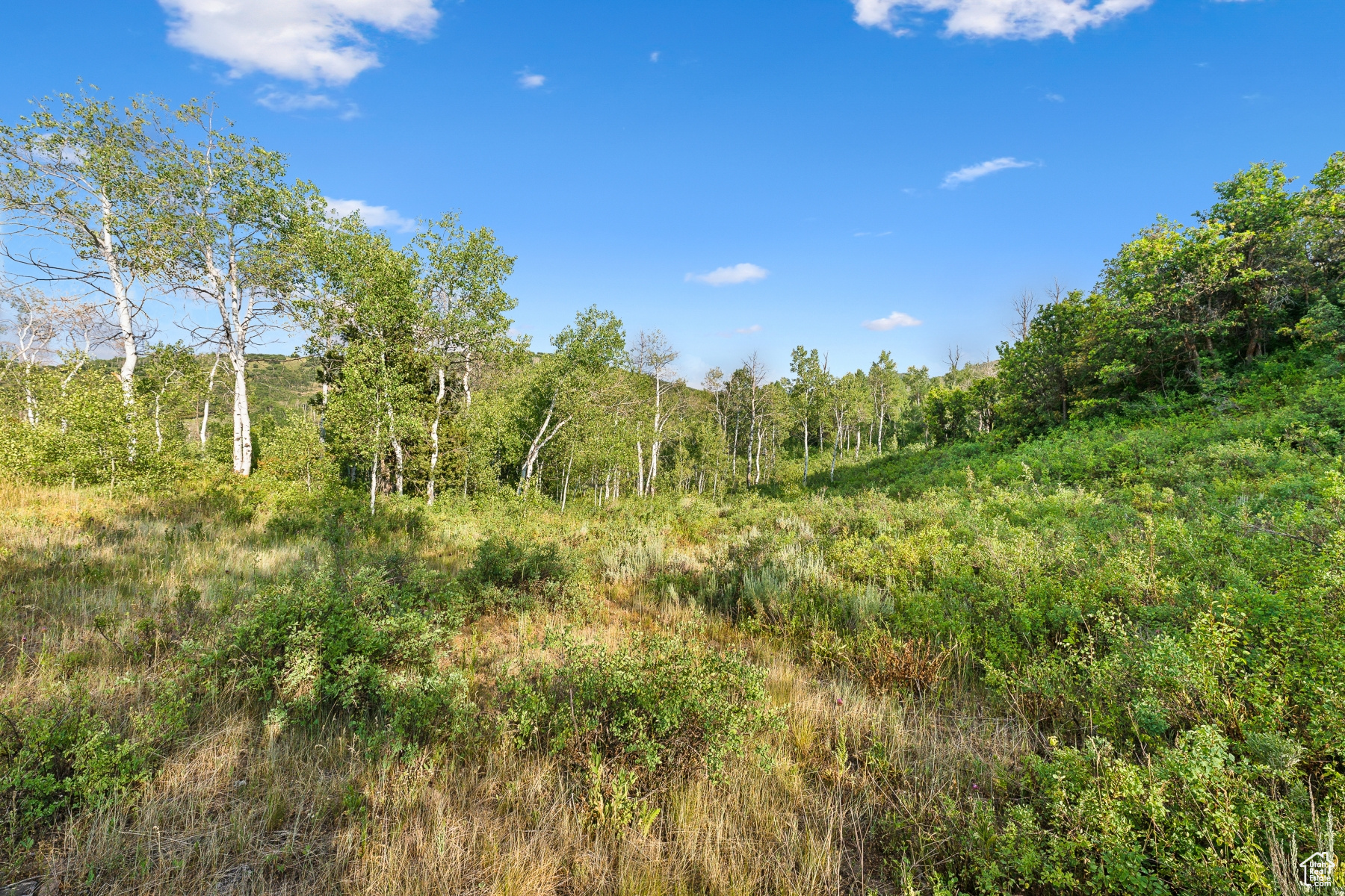 WOODLAND CREST - Residential
