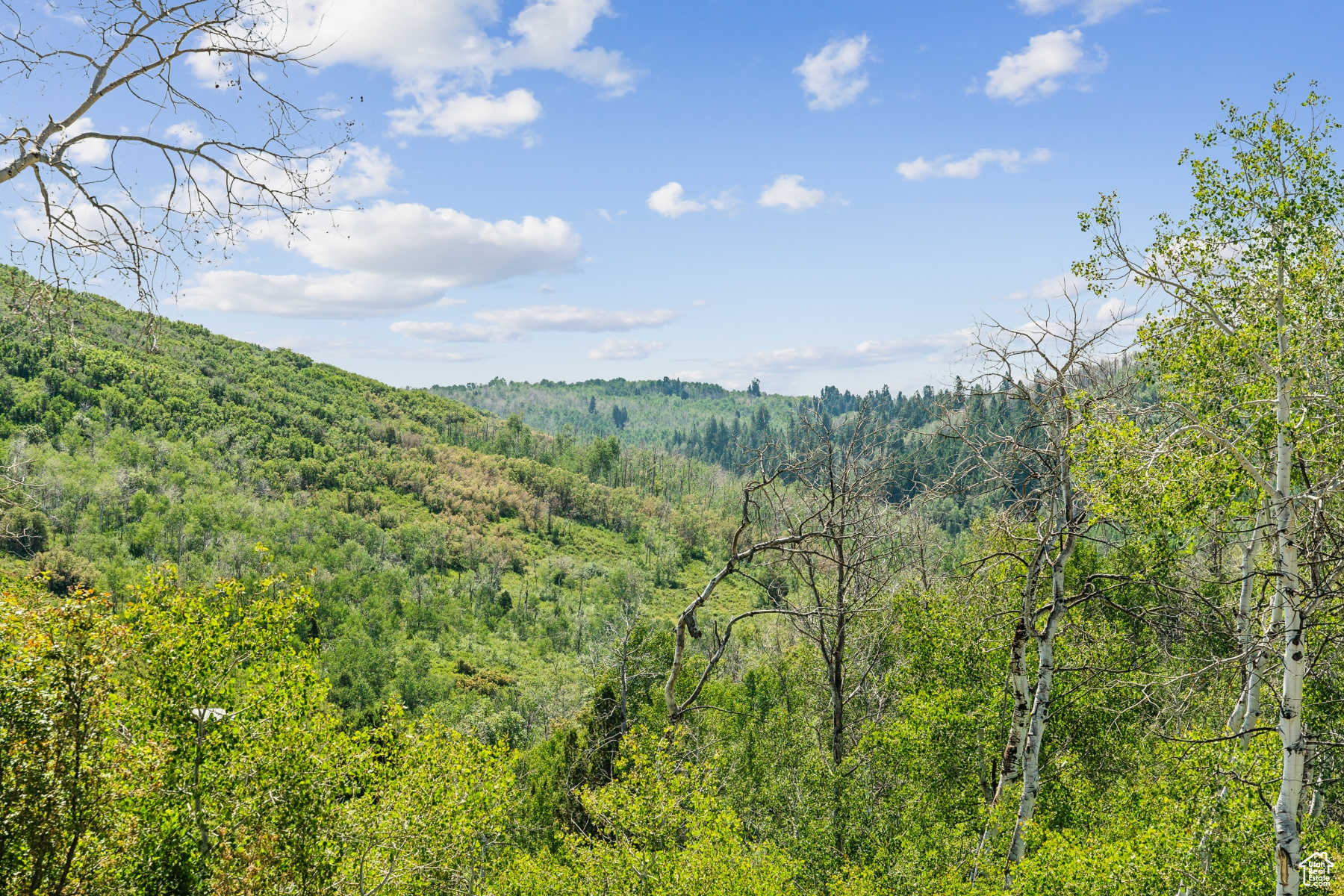 WOODLAND CREST - Residential