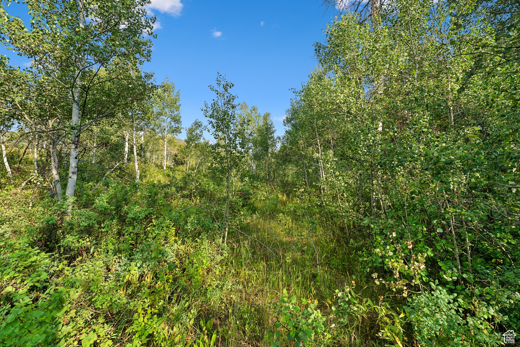 WOODLAND CREST - Residential