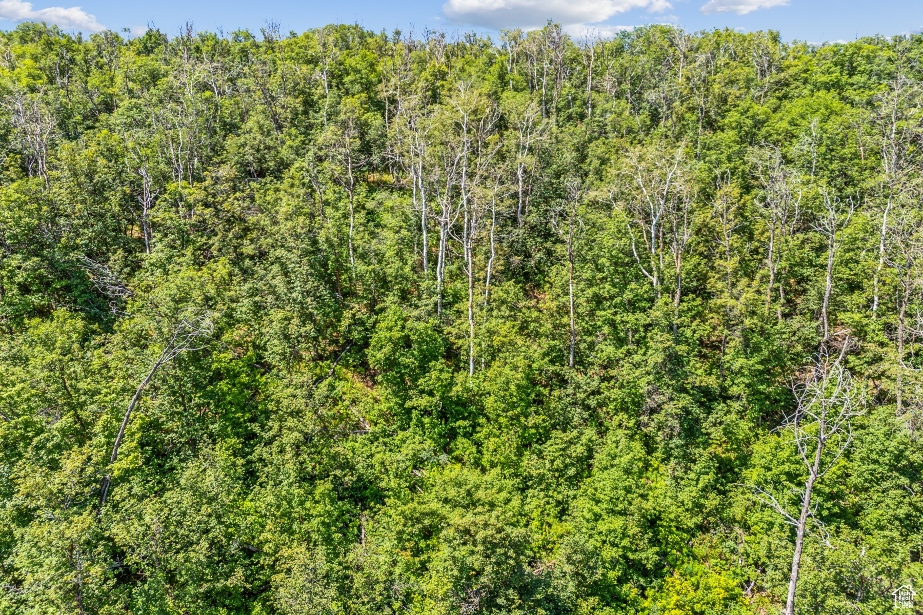 WOODLAND CREST - Residential