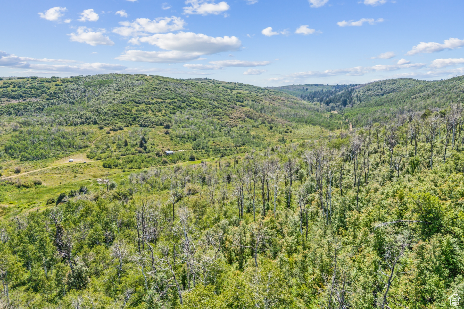 WOODLAND CREST - Residential