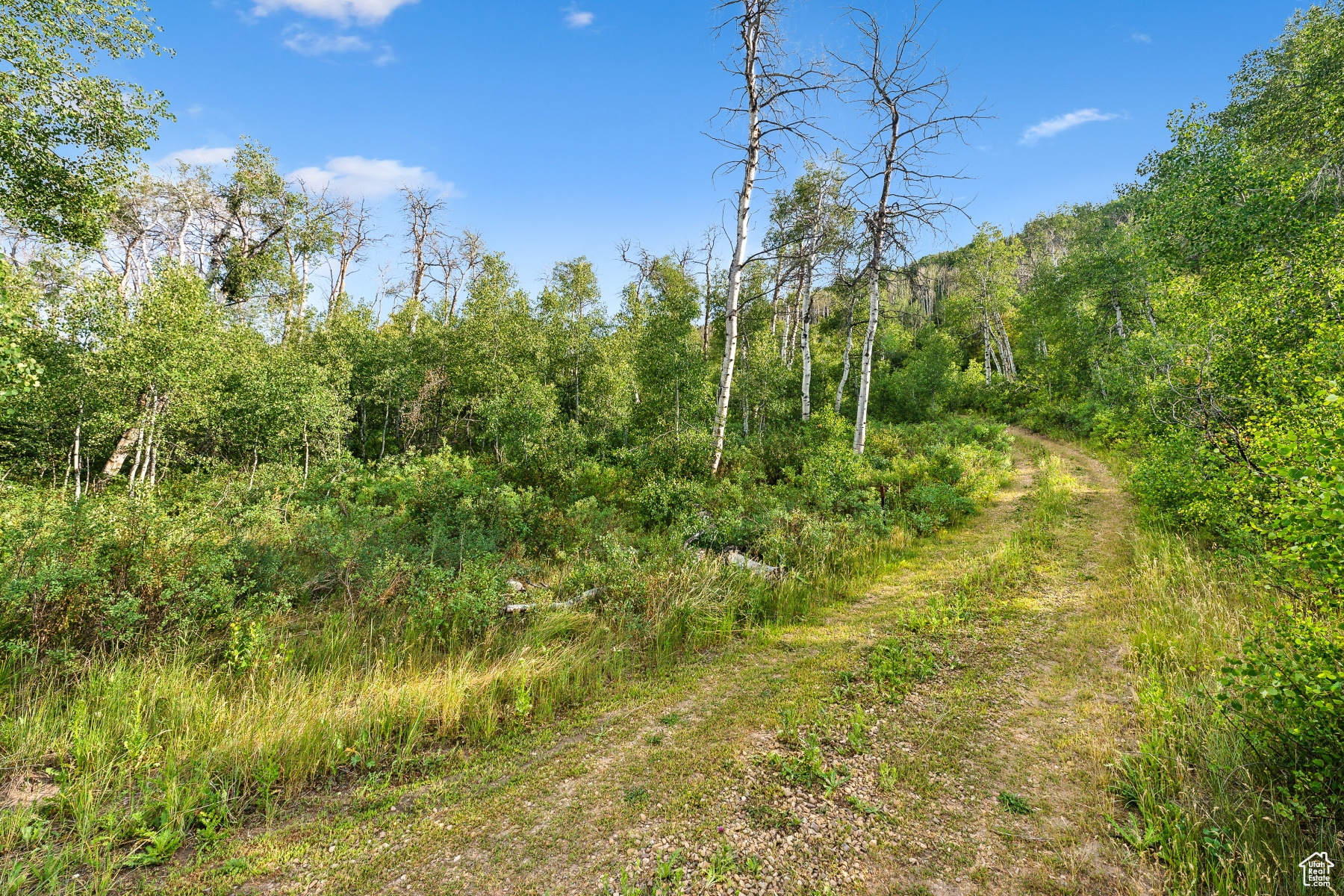 WOODLAND CREST - Residential