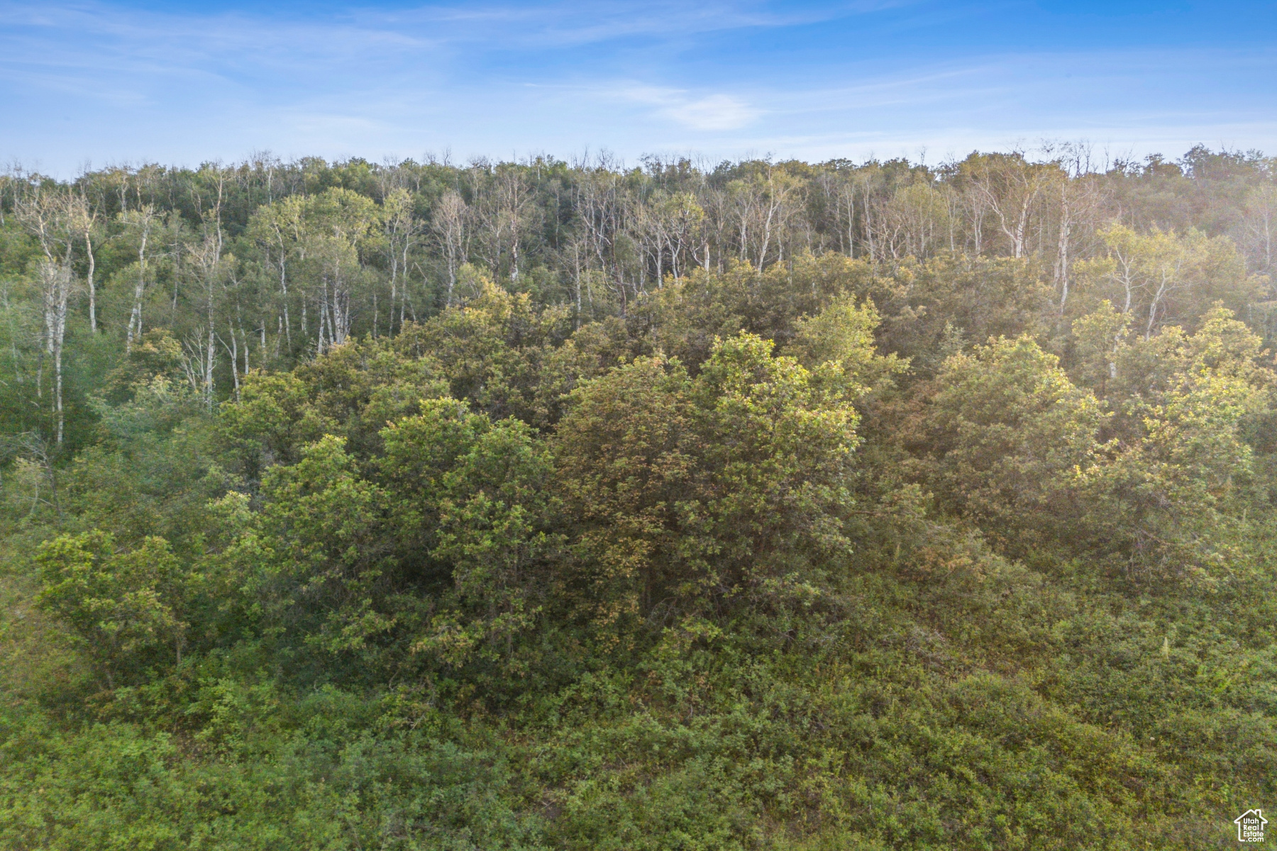 WOODLAND CREST - Residential