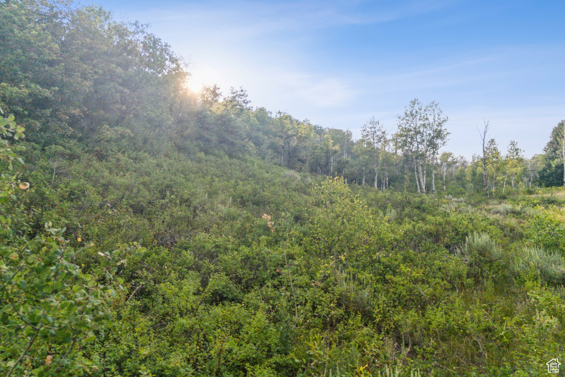 WOODLAND CREST - Residential
