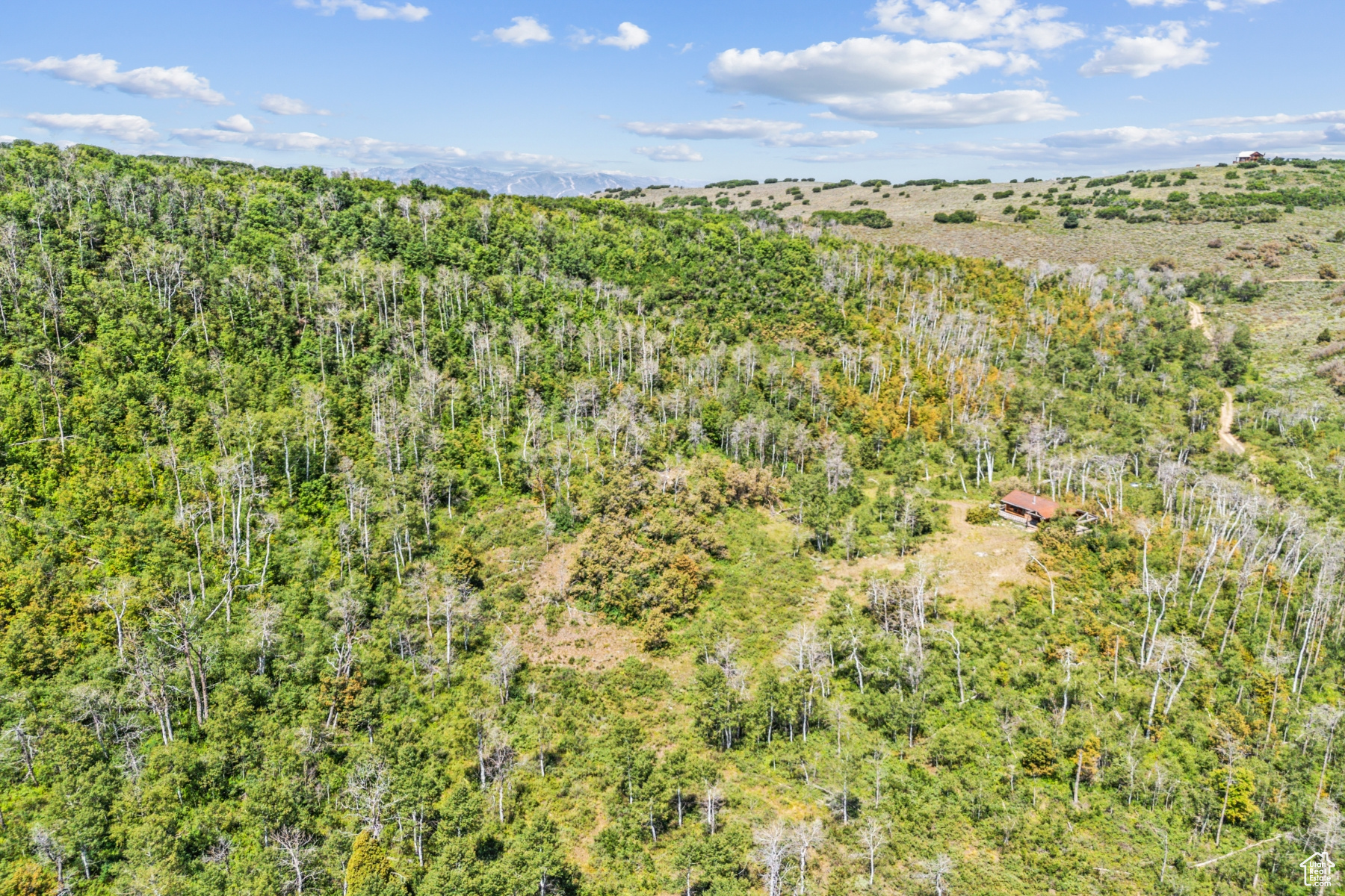 WOODLAND CREST - Residential