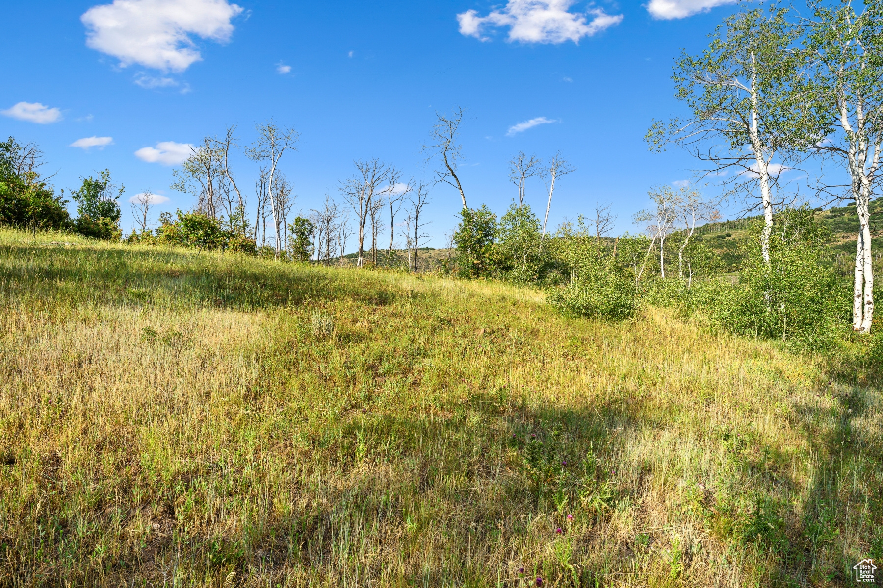 WOODLAND CREST - Residential