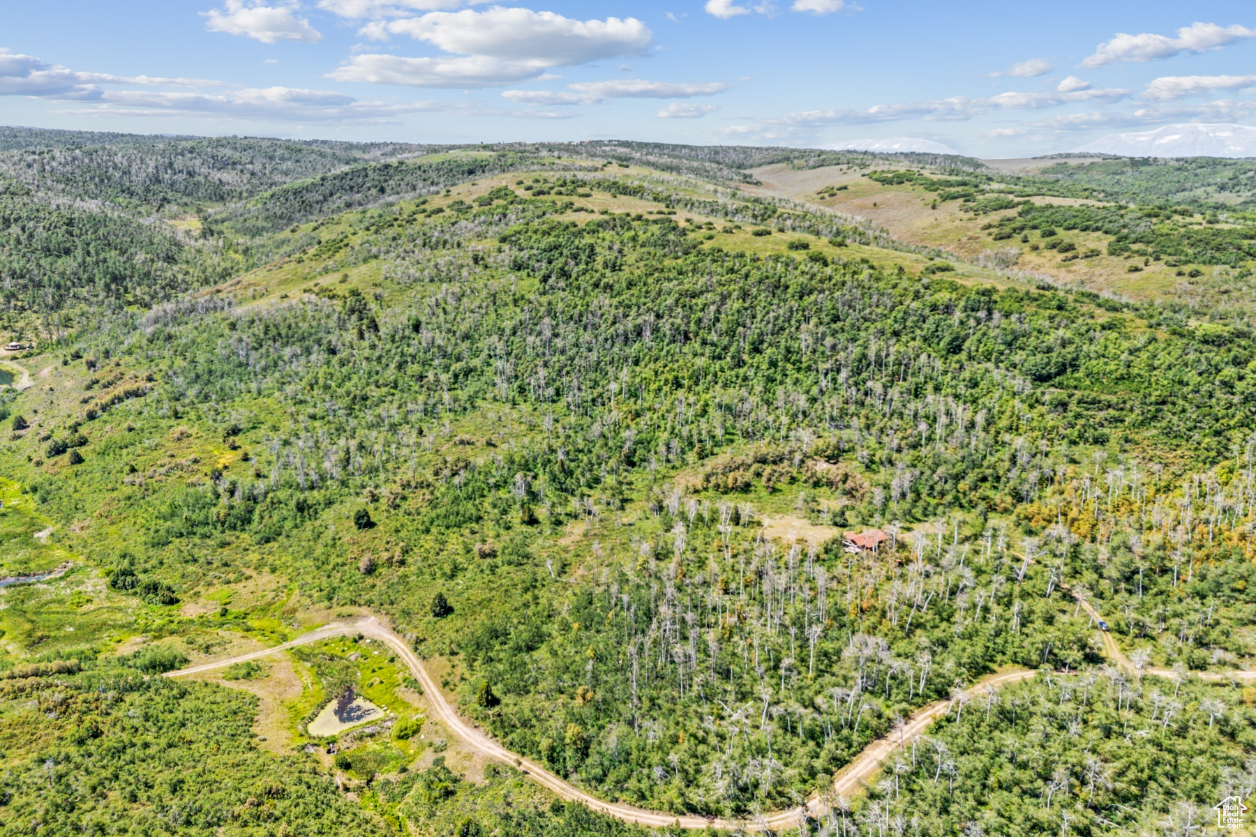 WOODLAND CREST - Residential