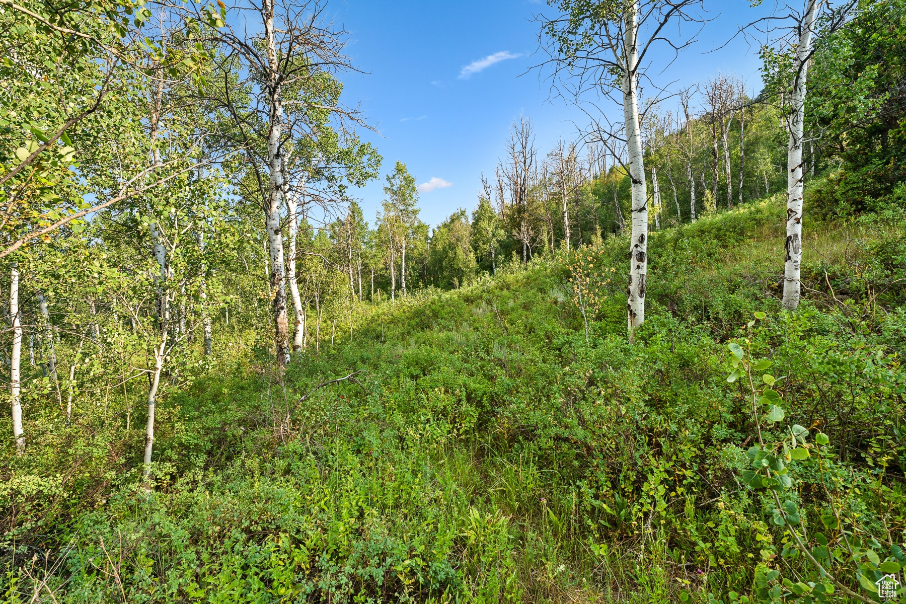 WOODLAND CREST - Residential