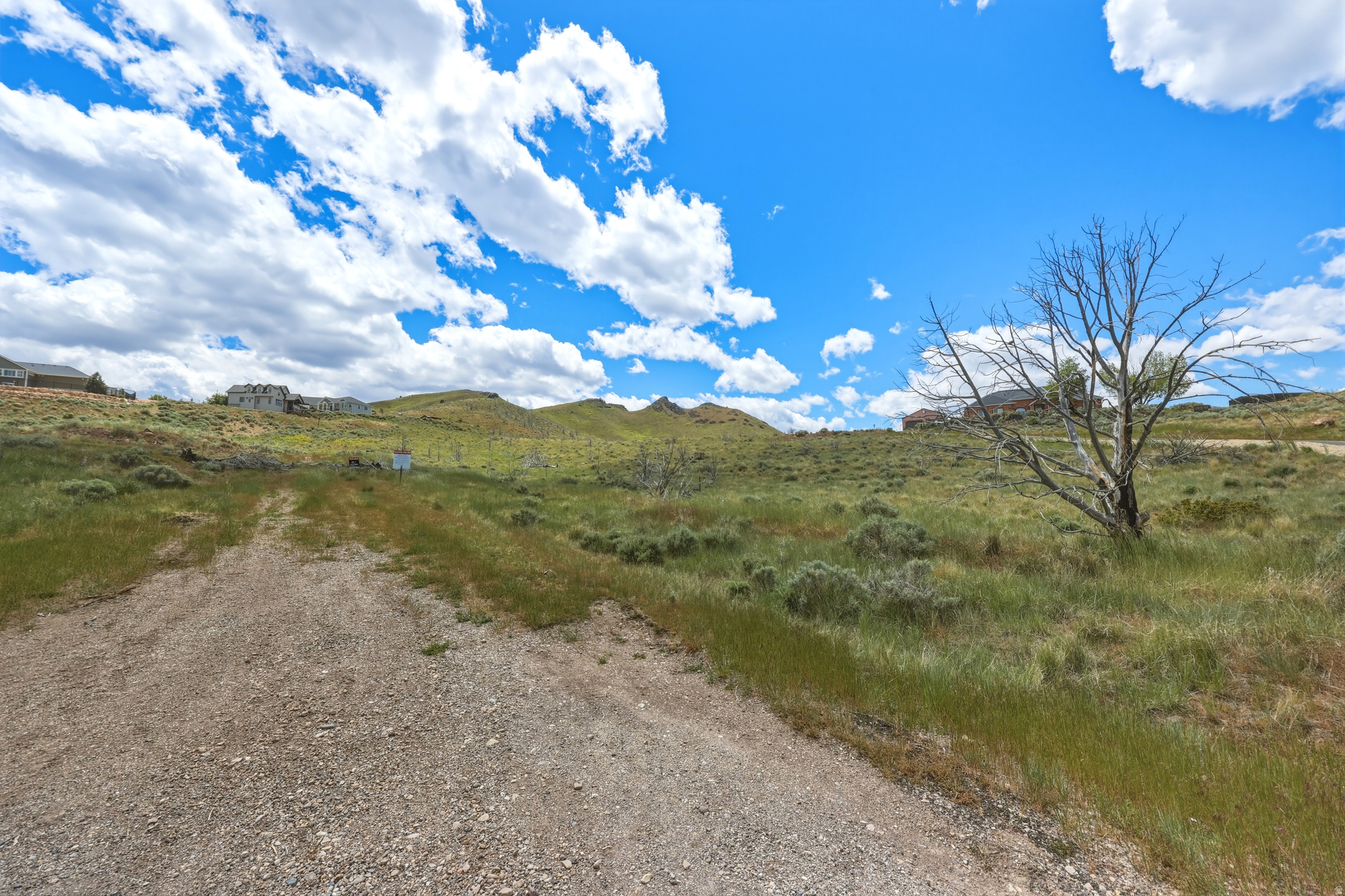 ROSE CANYON HEIGHTS - Land
