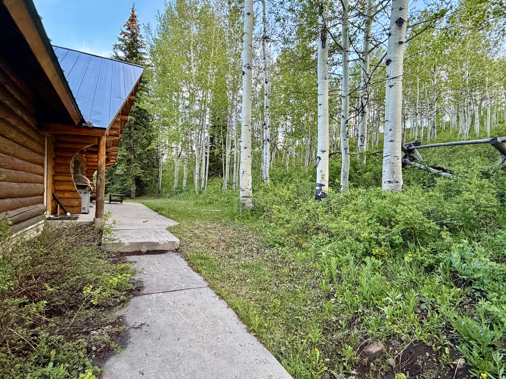 DANIEL SUMMIT RESORT - Commercial Sale