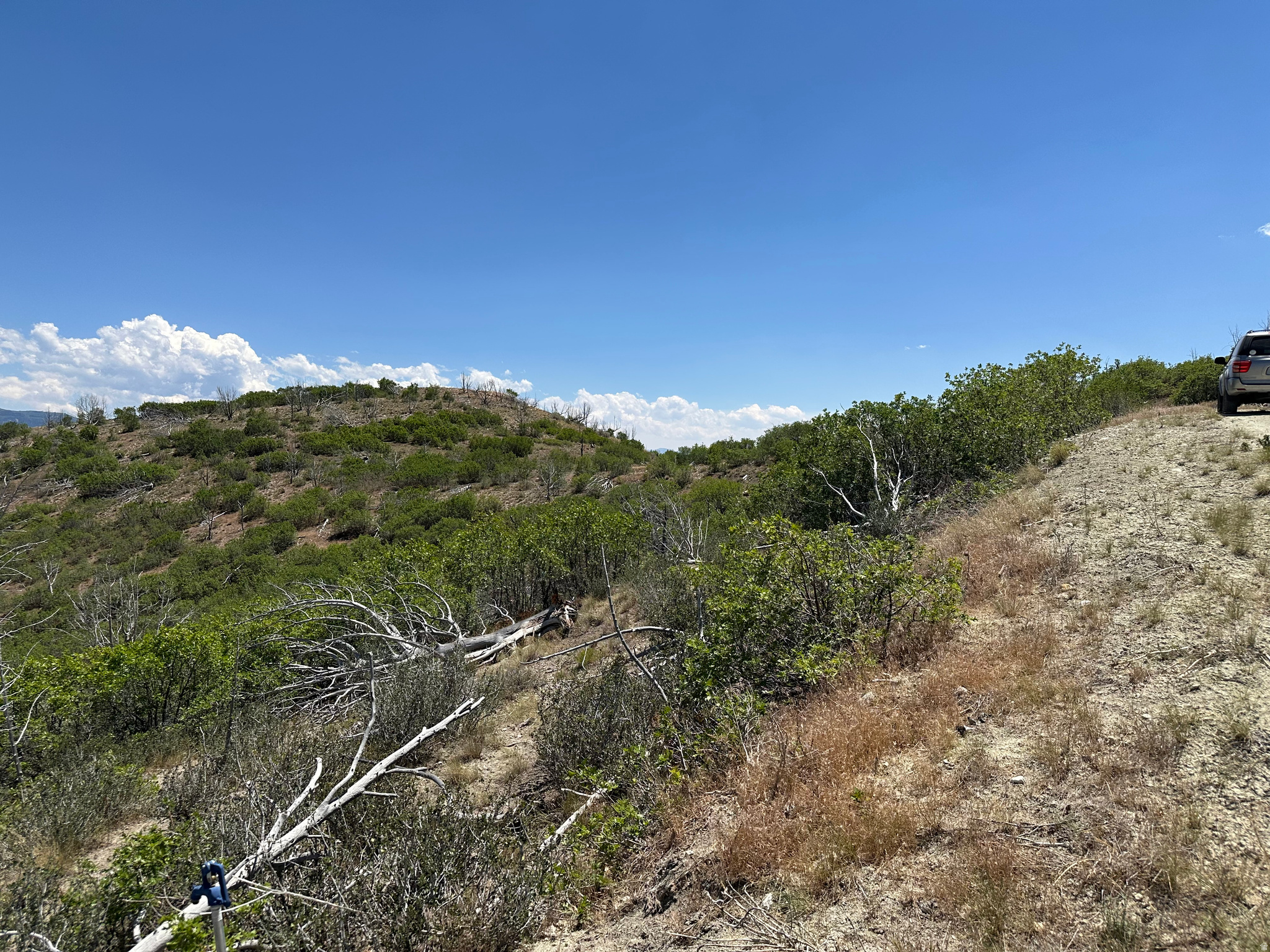 INDIAN RIDGE - Land