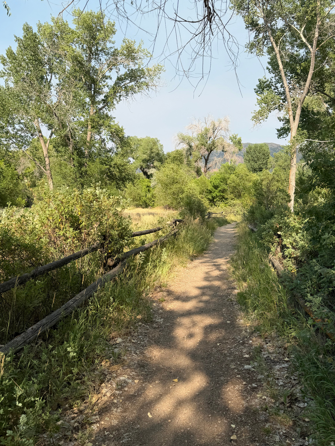 COTTONWOOD ESTATES - Residential