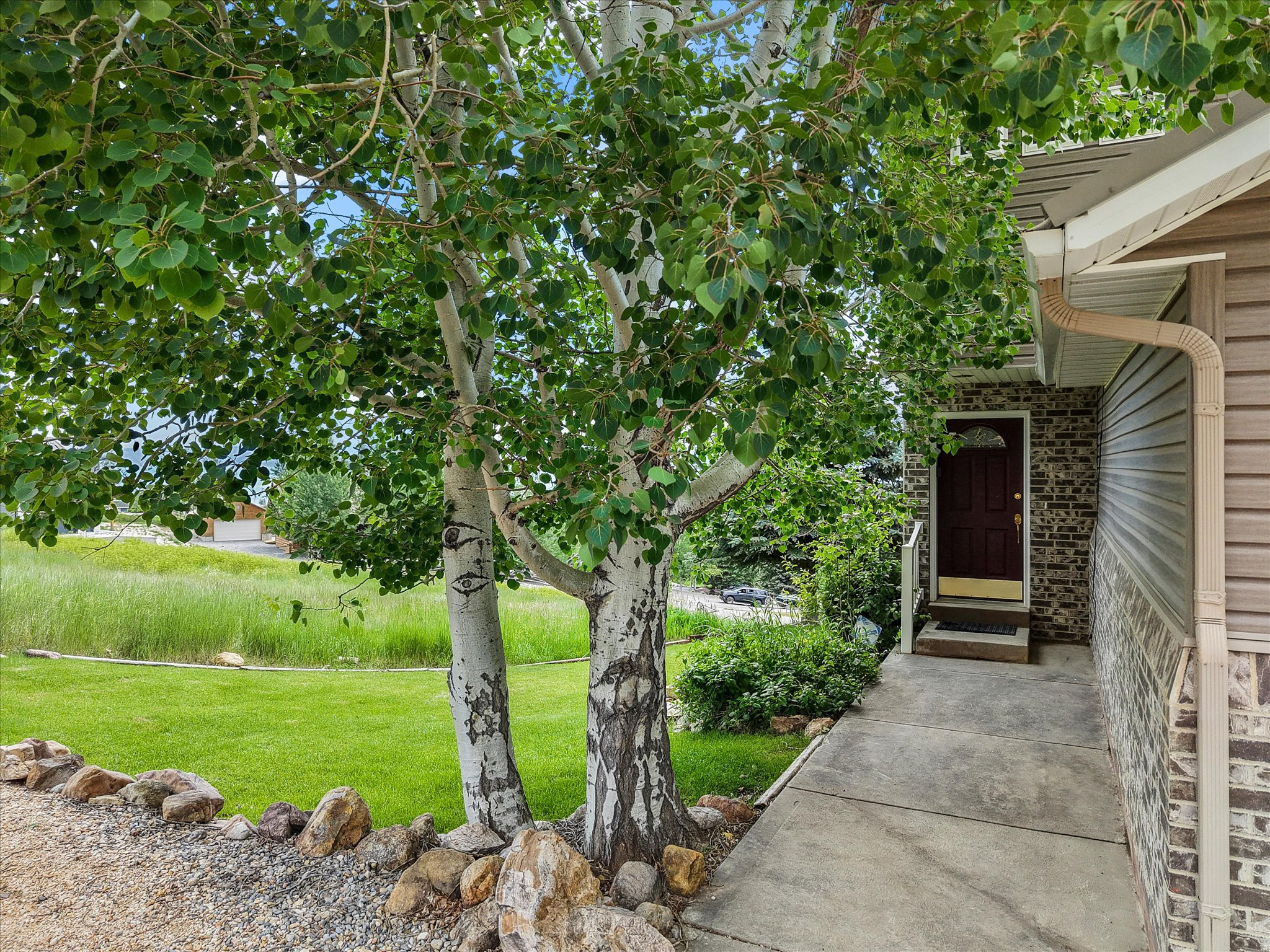 RASPBERRY PATCH ESTATES - Residential