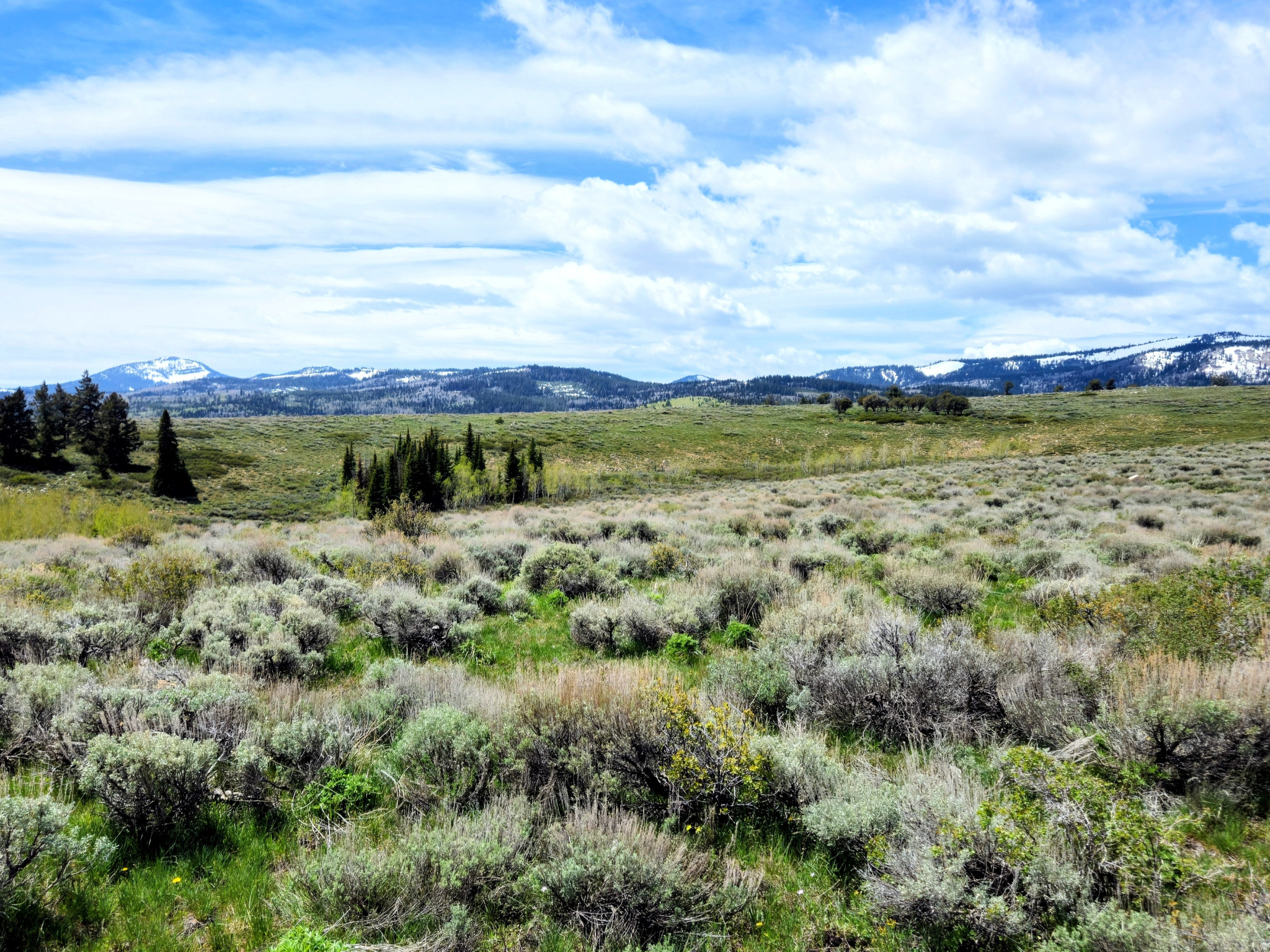 Rare opportunity to own 16.64 acres overlooking the breathtaking Bear Lake Valley from the top of scenic Mill Canyon. This exceptional recreational property borders Caribou-Targhee National Forest, offering direct access to endless outdoor adventure, wildlife, and mountain recreation.  The property features a combination of gently rolling terrain and flat, usable ground, providing excellent potential for camping, a seasonal retreat, or a future cabin site. The elevated setting delivers stunning panoramic views of the surrounding mountain ranges and valley below.  An additional 40+ acres is also available for those seeking expanded acreage or greater privacy.  Please note there are currently no utilities to the property and no year-round access, making this an ideal seasonal recreational getaway.  Contact the listing agent today for additional information or to schedule a private showing.