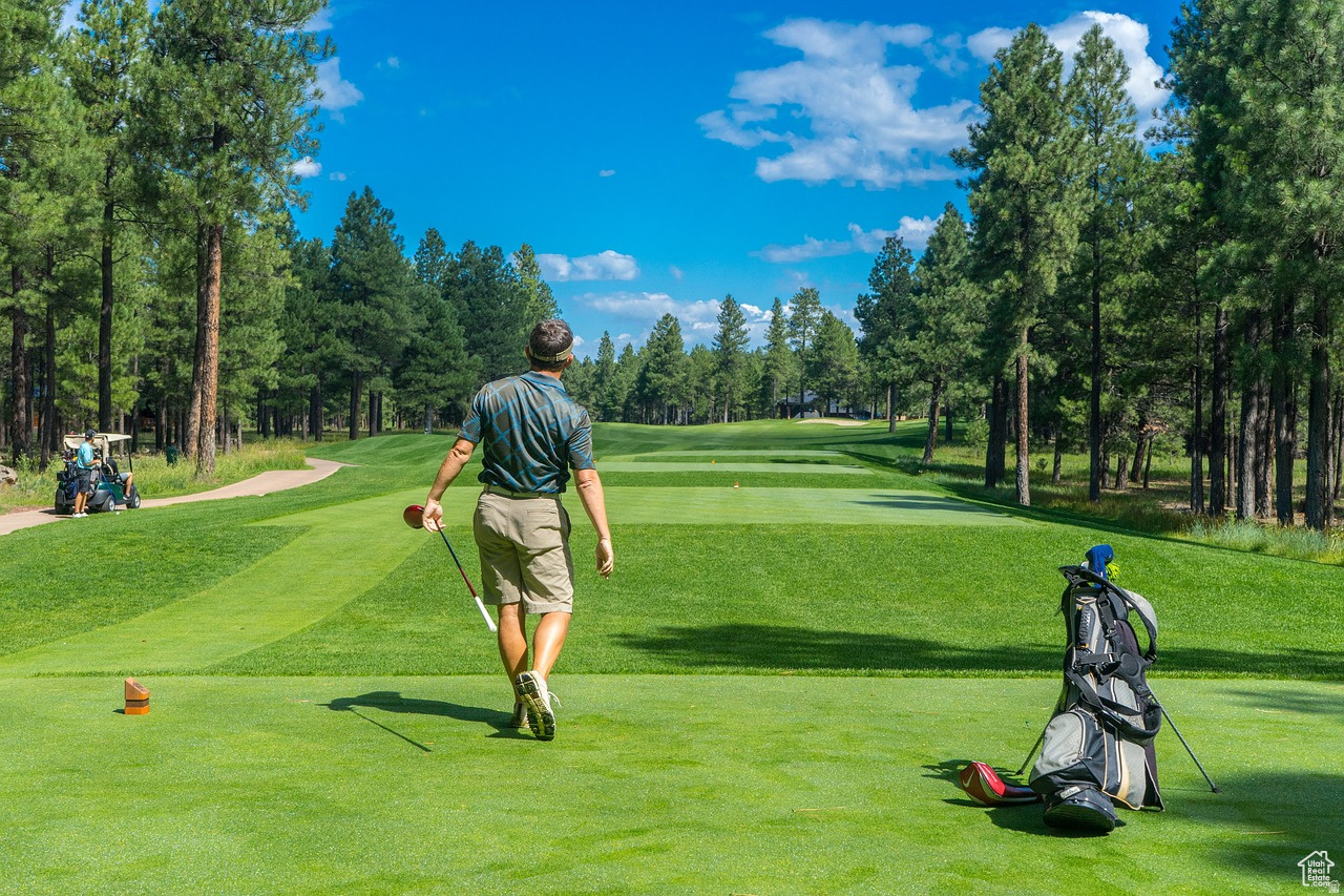 JUNIPER AT CANYON MEADOWS - Residential