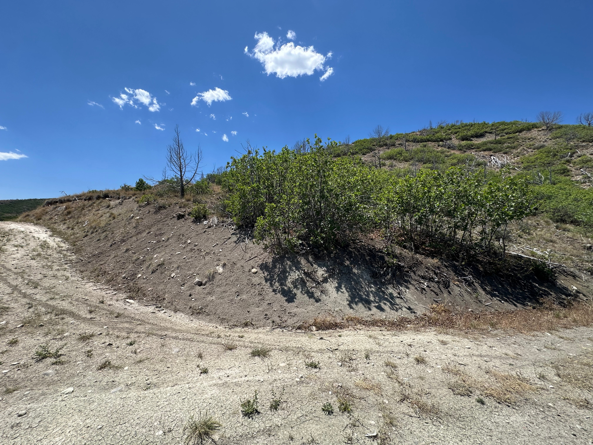 INDIAN RIDGE - Land