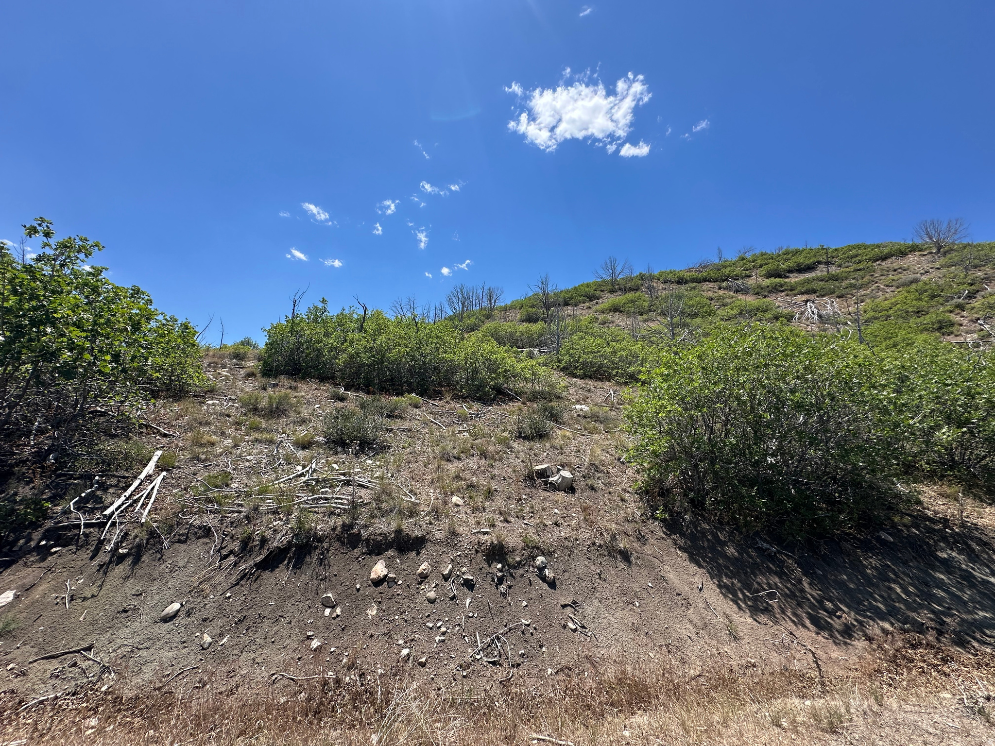 INDIAN RIDGE - Land