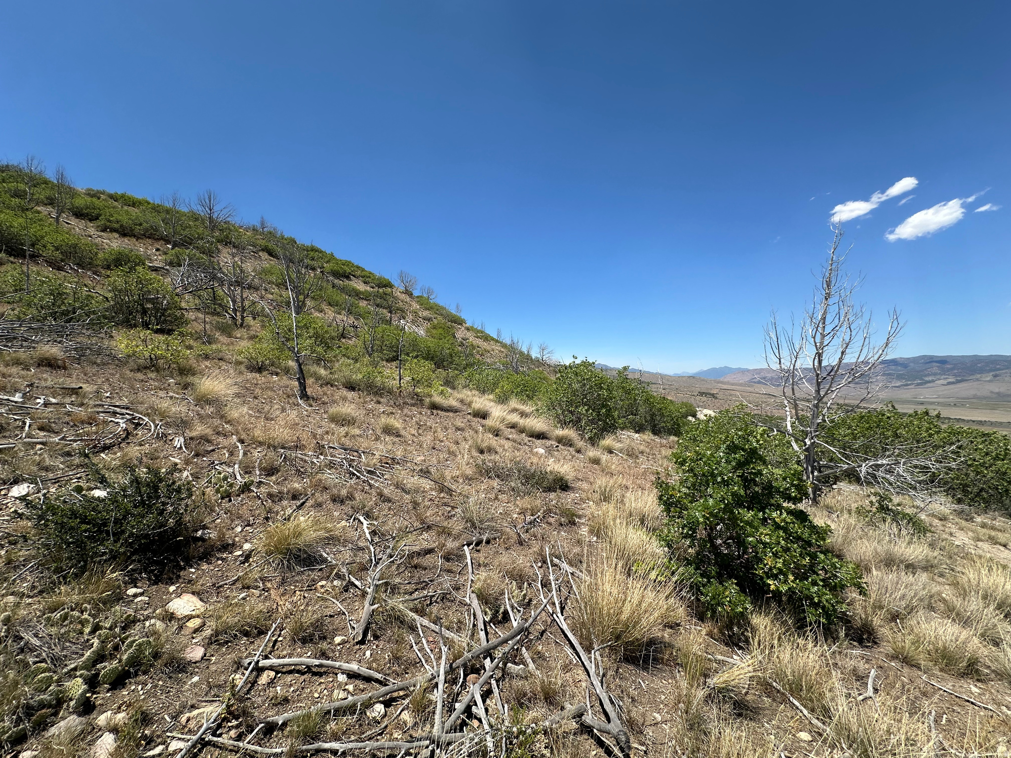 INDIAN RIDGE - Land