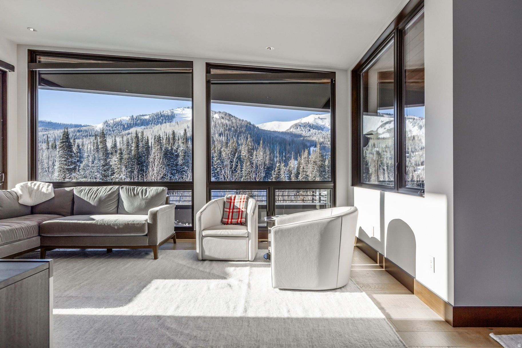 COLONY @WHITE PINE - Residential