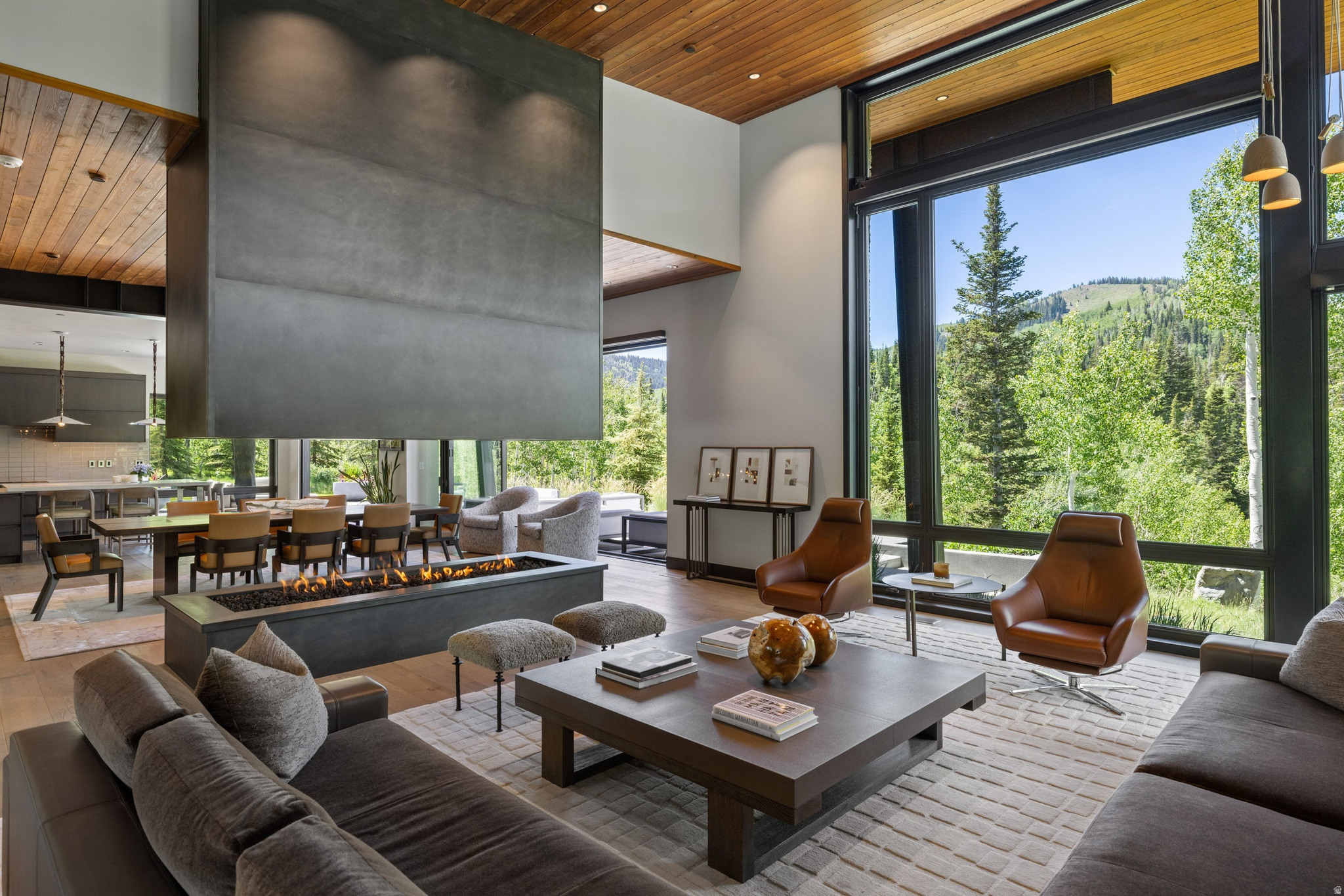 COLONY @WHITE PINE - Residential