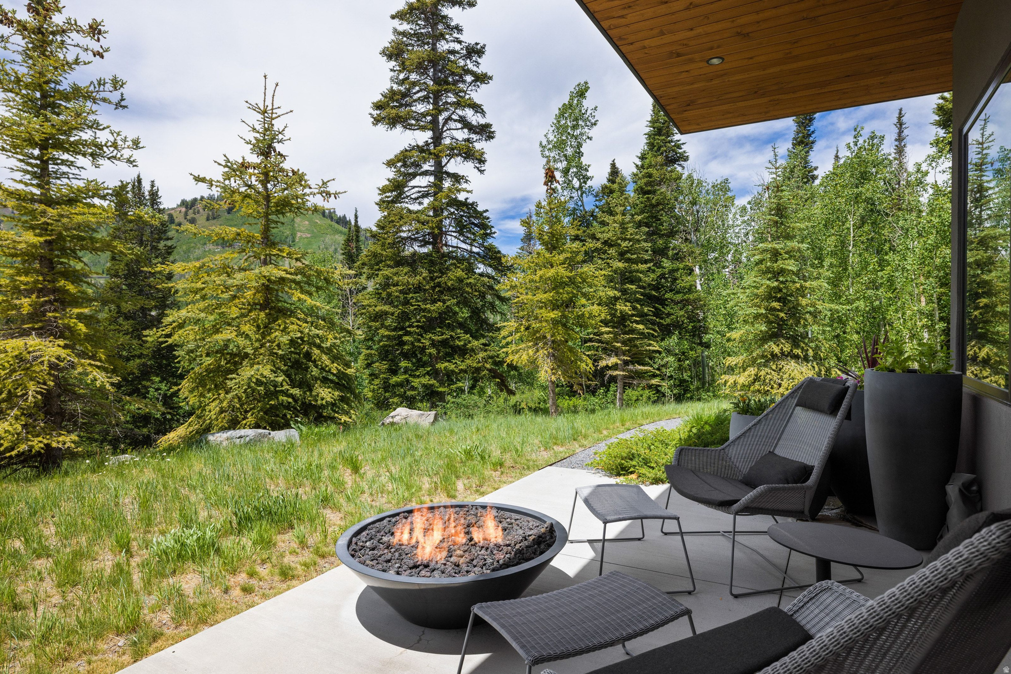 COLONY @WHITE PINE - Residential