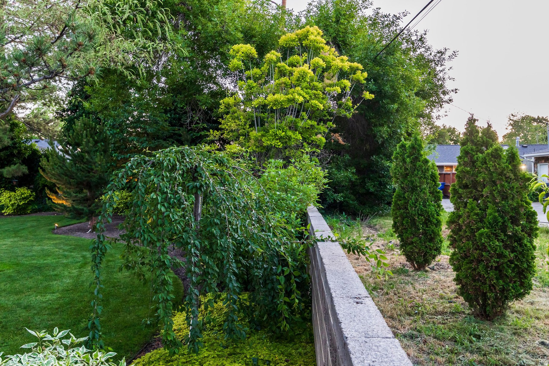 PARK - Residential