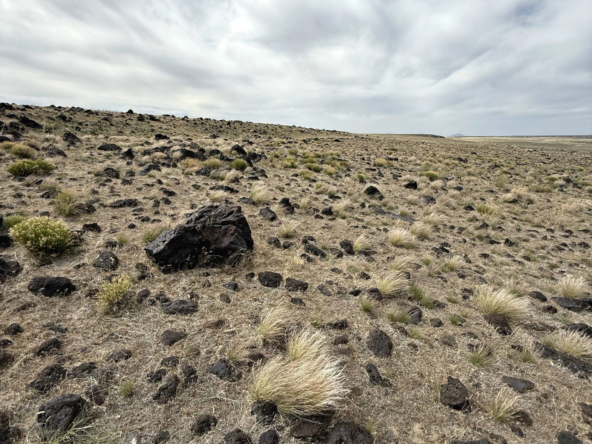 Ultimate 121.5-AC adventure basecamp in Millard County! Perfect for UTV enthusiasts--unload your toys right on the property and access 100s of miles of trails directly from your land without ever needing to trailer. Explore local lava tubes, sand dunes & volcanic craters at your leisure. The mostly flat terrain features a striking 60-ft elevated western bench with character-rich lava rock, offering panoramic valley views. Minutes from the clear, 100F waters of Meadow Hot Springs. Enjoy incredible ease of access via a very well-maintained county road. Premium infrastructure: power runs to the neighbor's property (across the road), which has a shallow well that hit water within just 50 feet--offering potential water access if you drill. Under 20 mins to I-15. Own your private desert oasis!