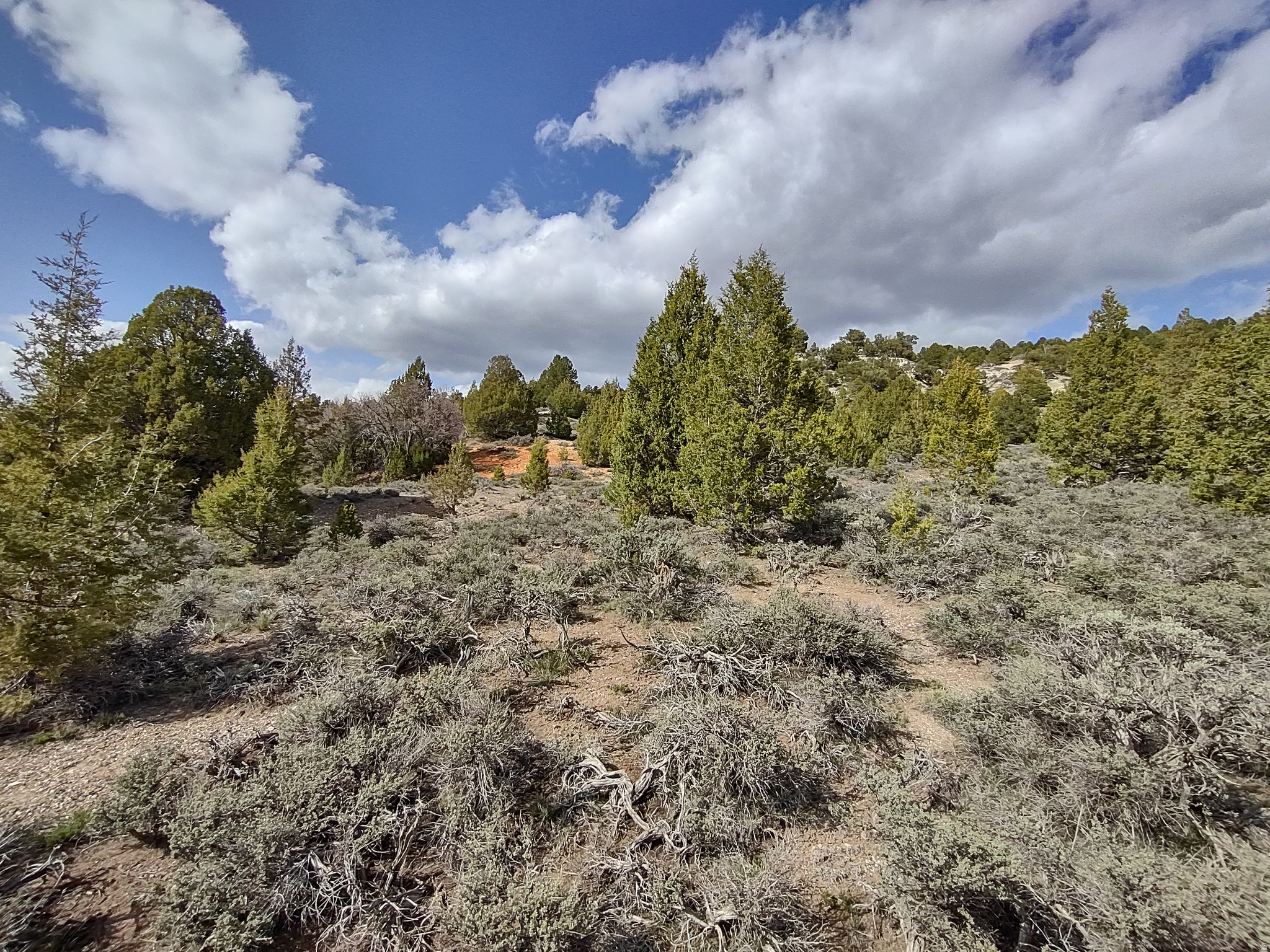 LONG VALLEY ESTATES - Land