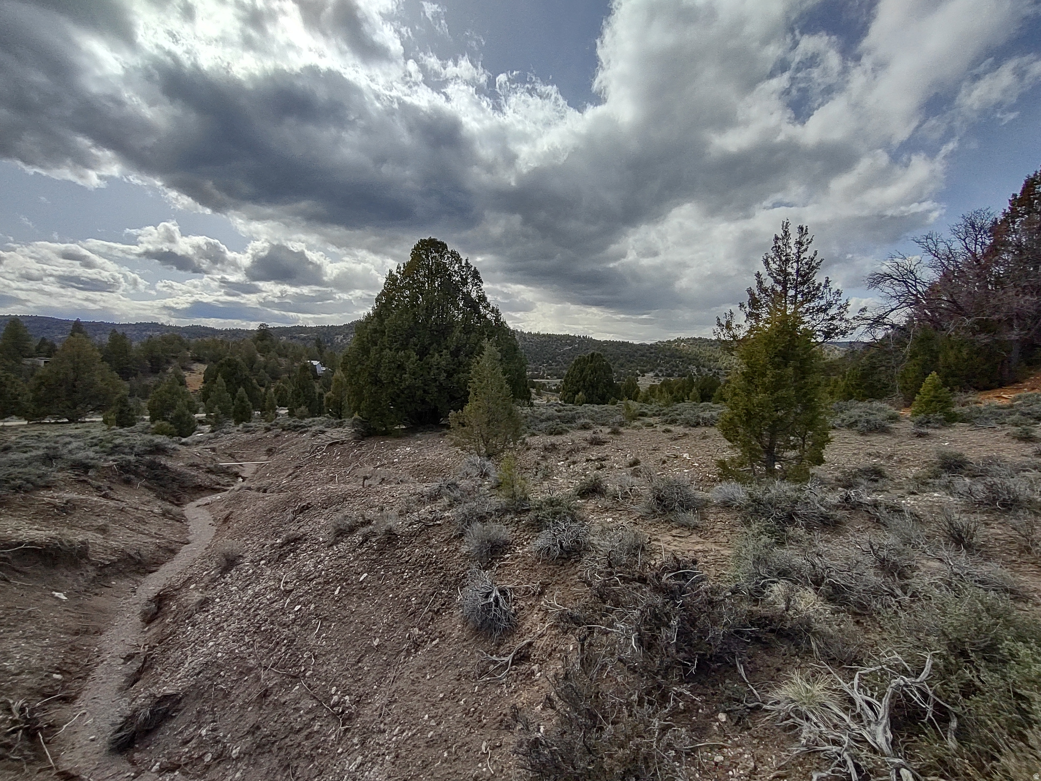 LONG VALLEY ESTATES - Land