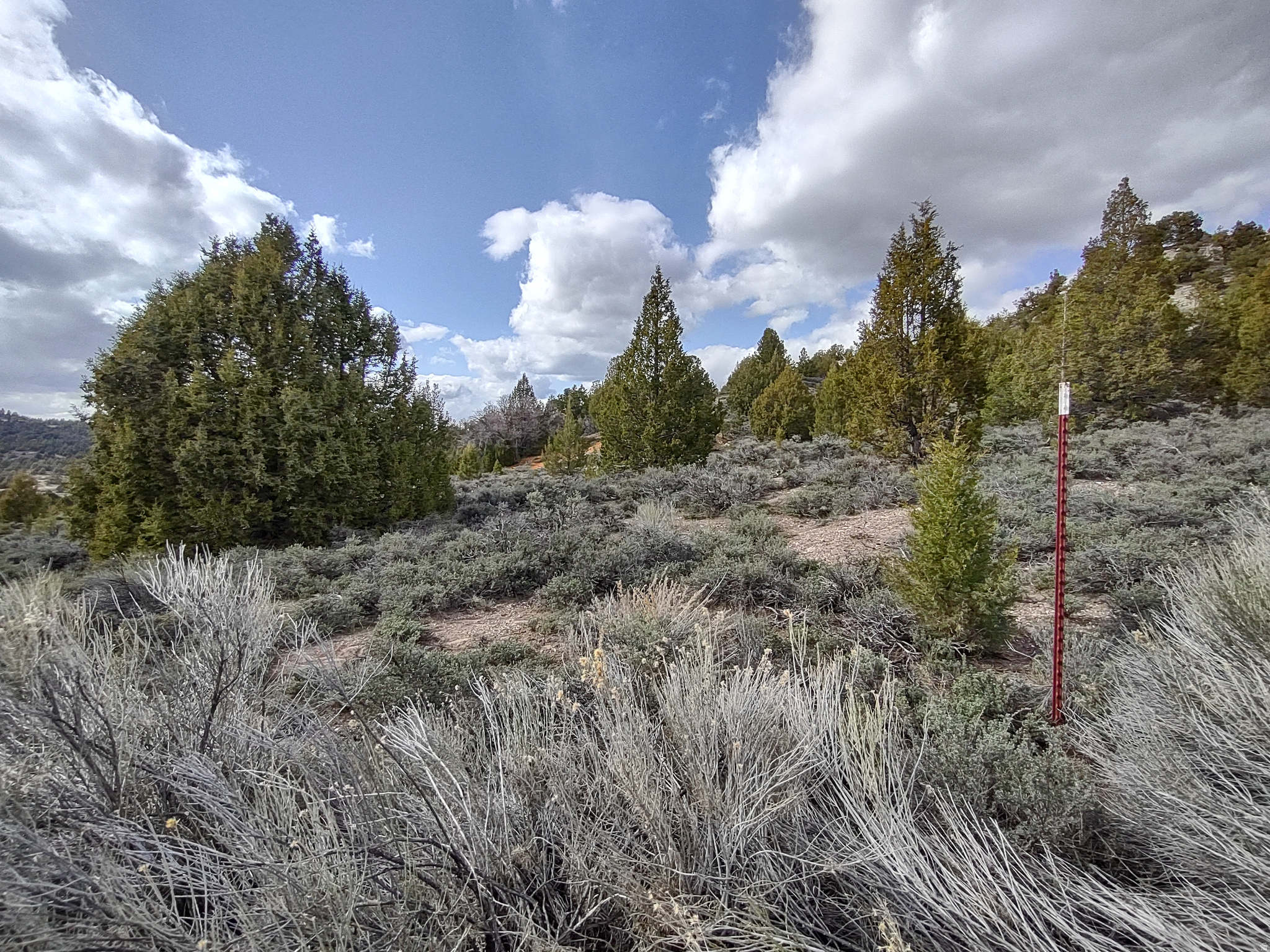 LONG VALLEY ESTATES - Land
