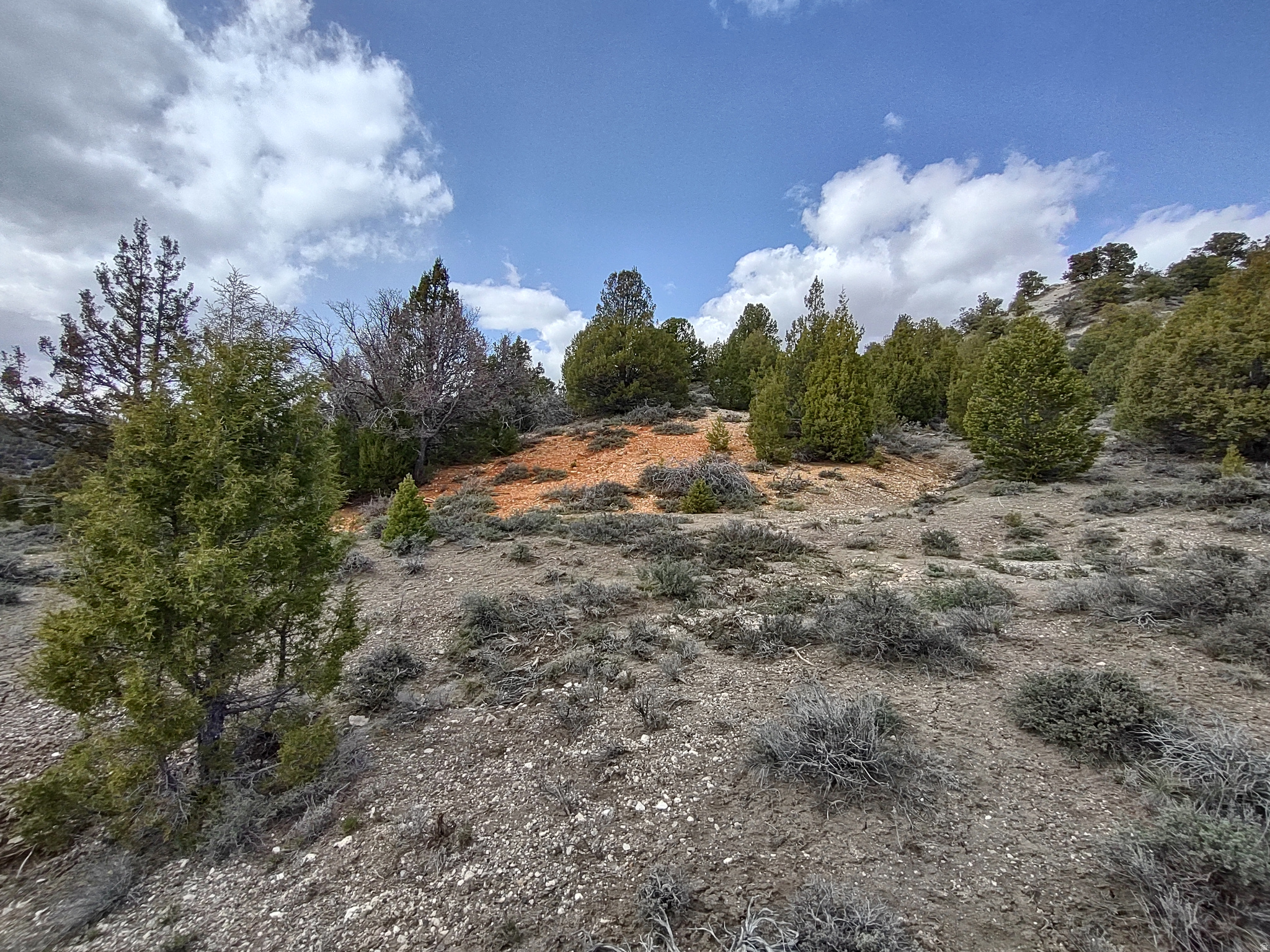 LONG VALLEY ESTATES - Land