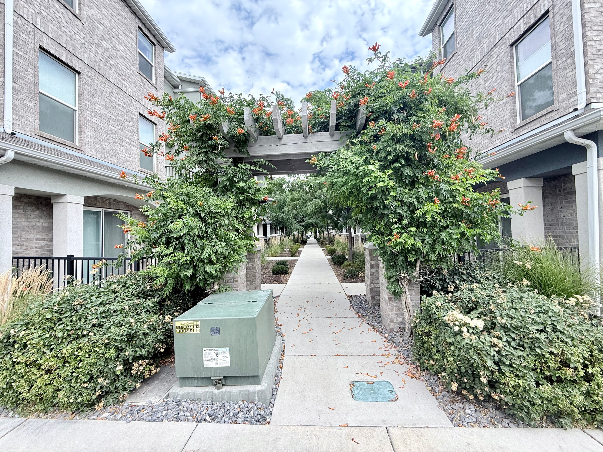 CARDON SQUARE - Residential