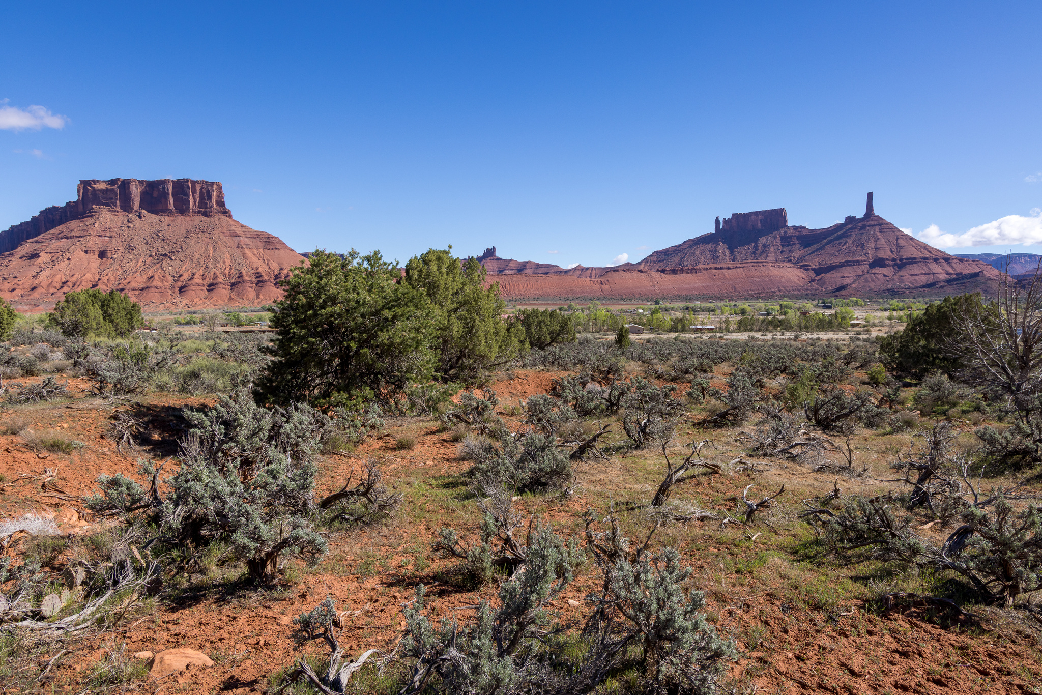 Castle Valley Dreams Await! 4.62 acres of prime desert landscape near the valley floor, ready for your ranch, southwestern home, or peaceful retreat. Build with ease on flat, buildable ground while soaking in sweeping views of Castleton Tower, the La Sal Mountains, and the iconic red rock mesas. Enjoy the perfect mix of open space, natural beauty, and the quiet charm of Castle Valley. Your perfect slice of Southeaster Utah's legendary landscape is ready for you!