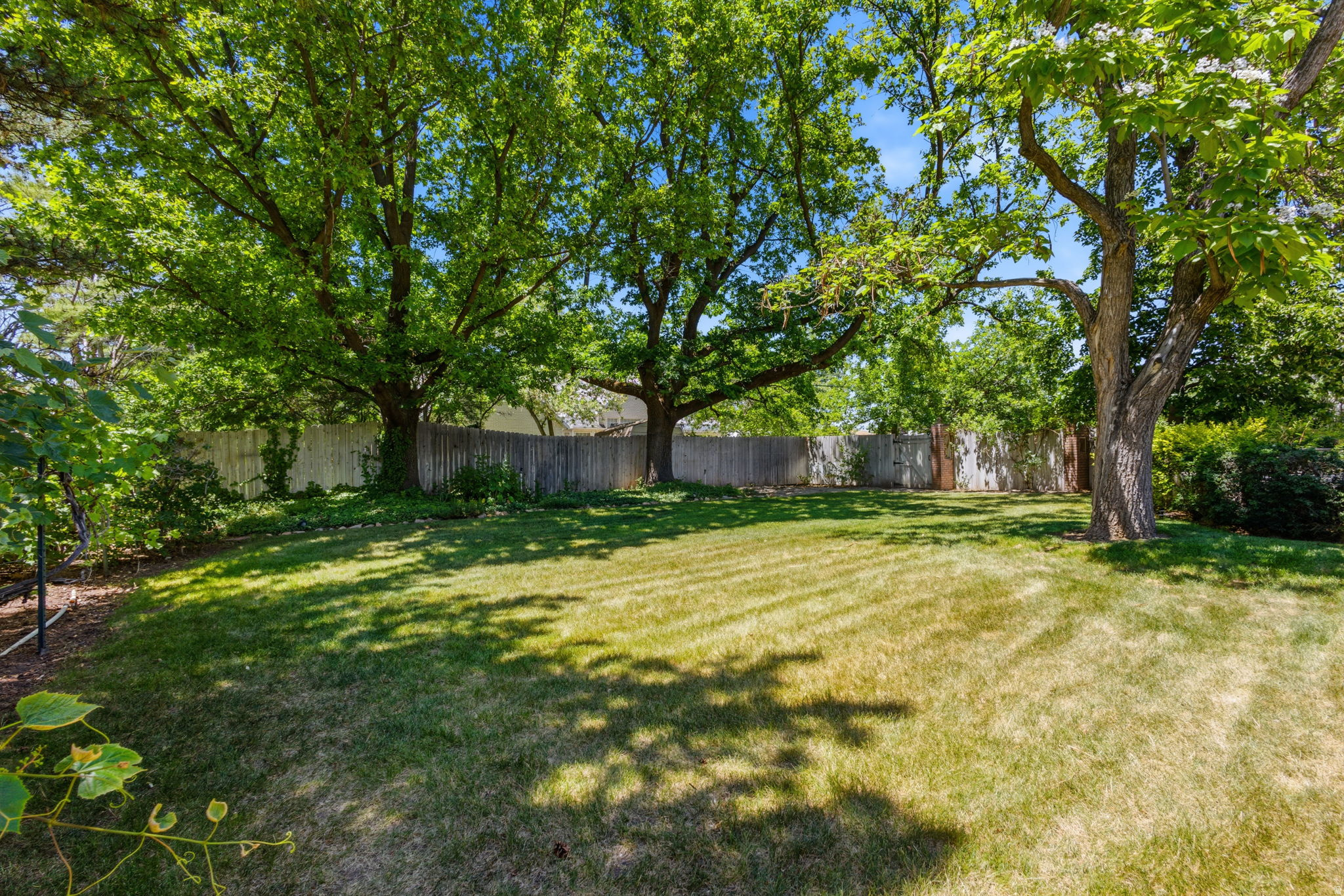 MONT ROSE ESTATES - Residential