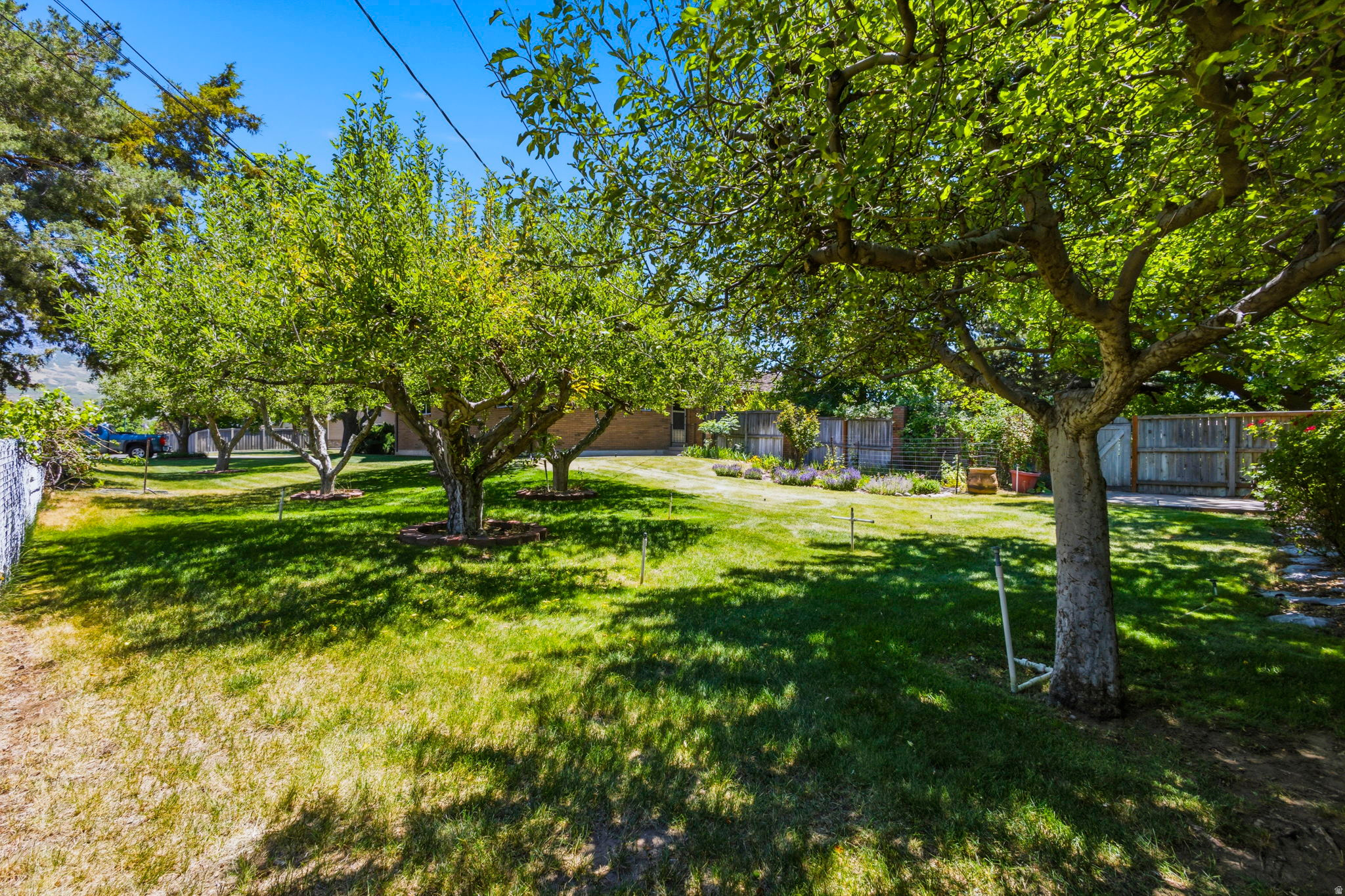 MONT ROSE ESTATES - Residential
