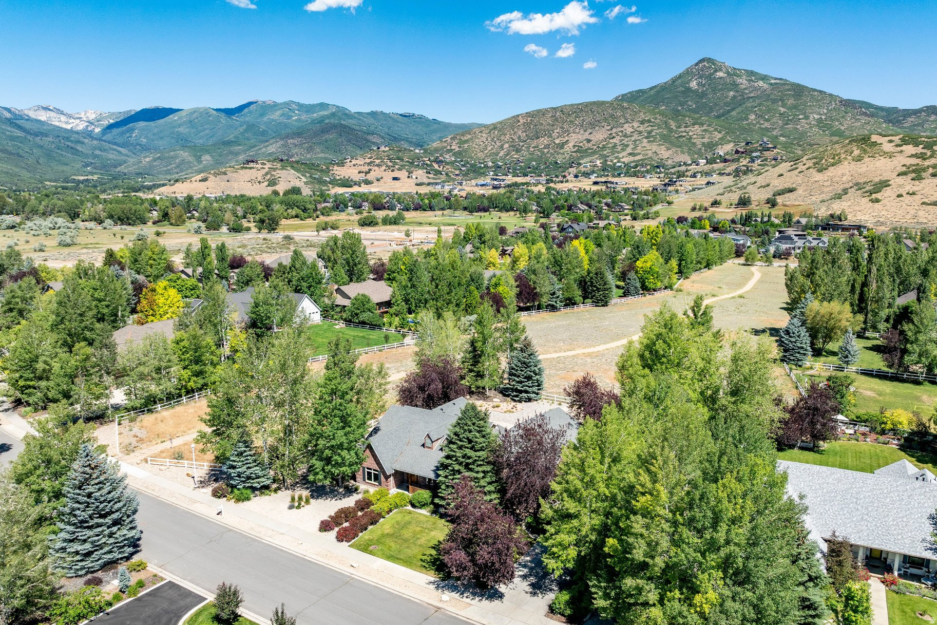 LACY LANE ESTATES - Residential